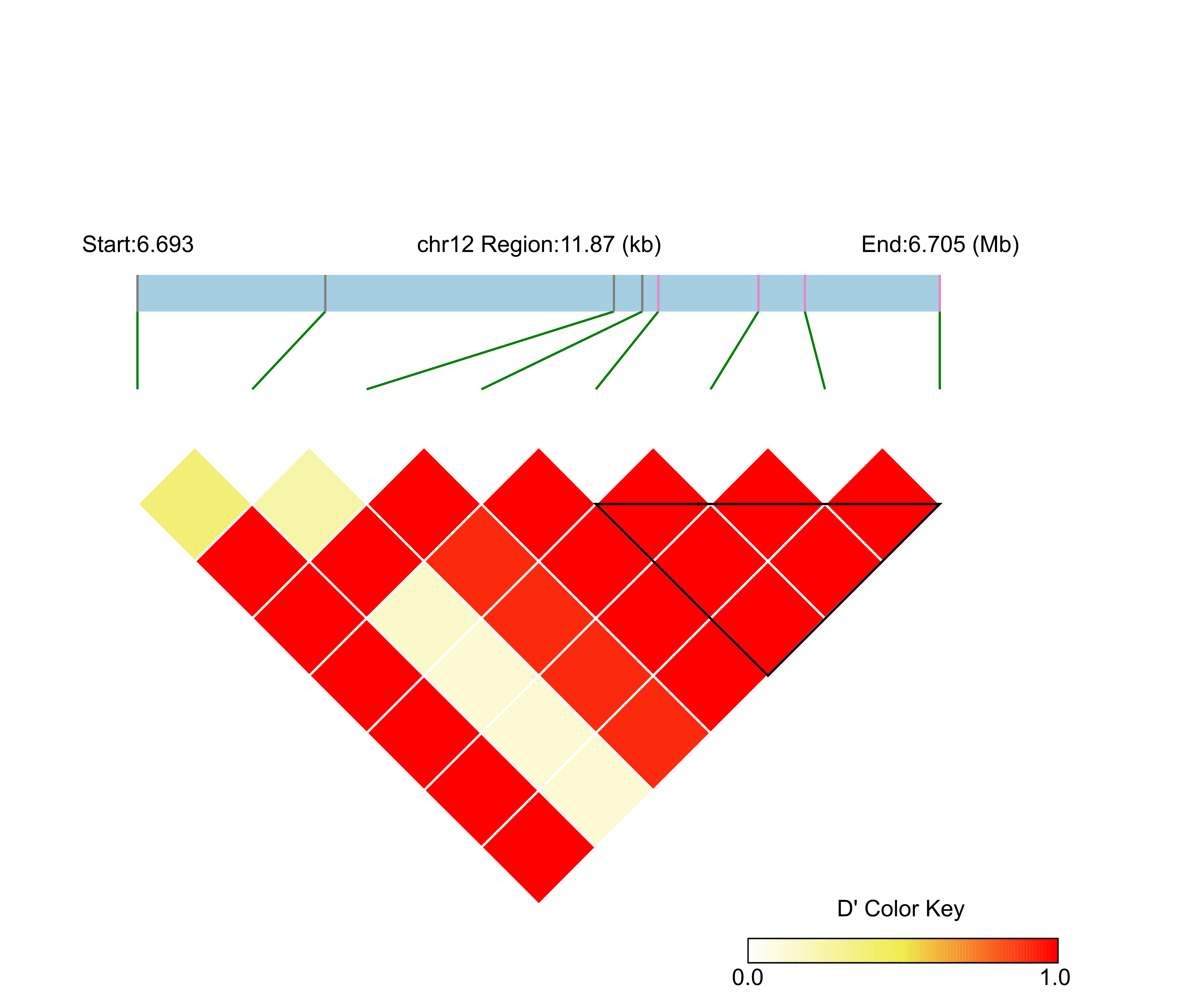 LD