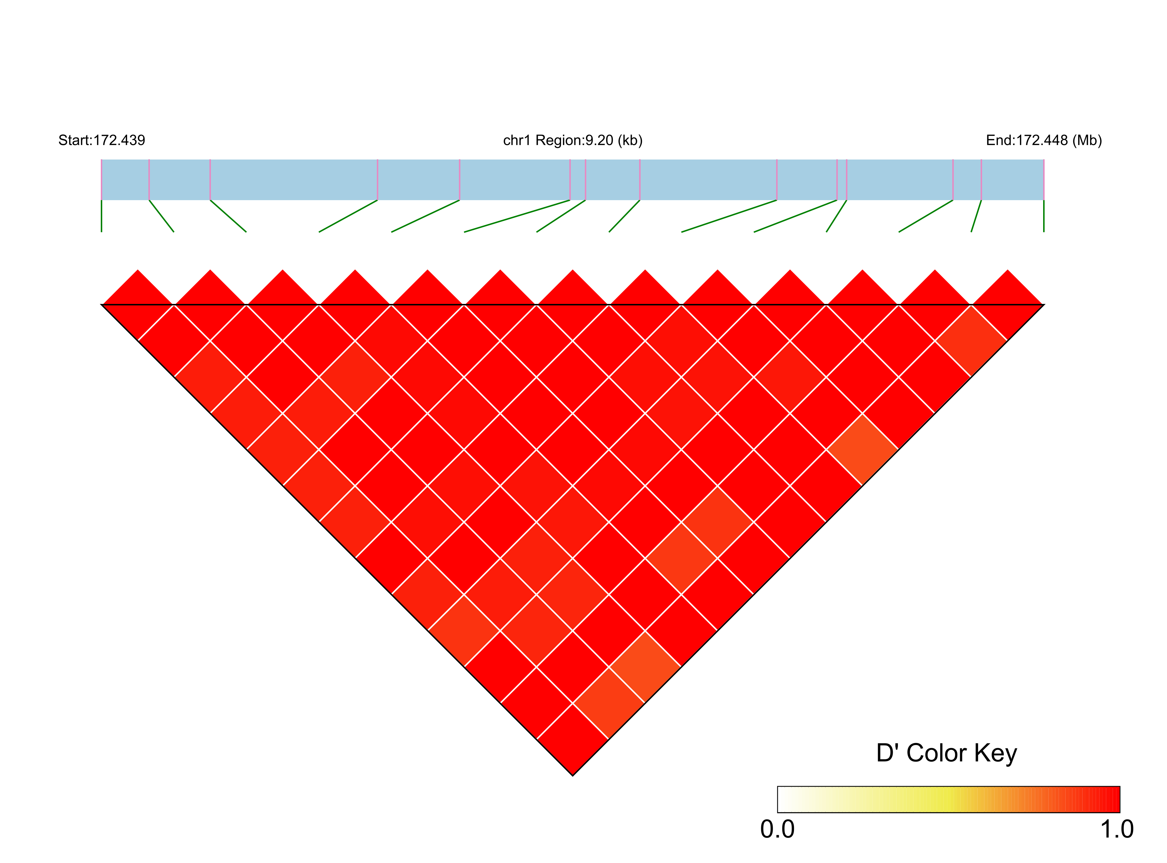 LD
