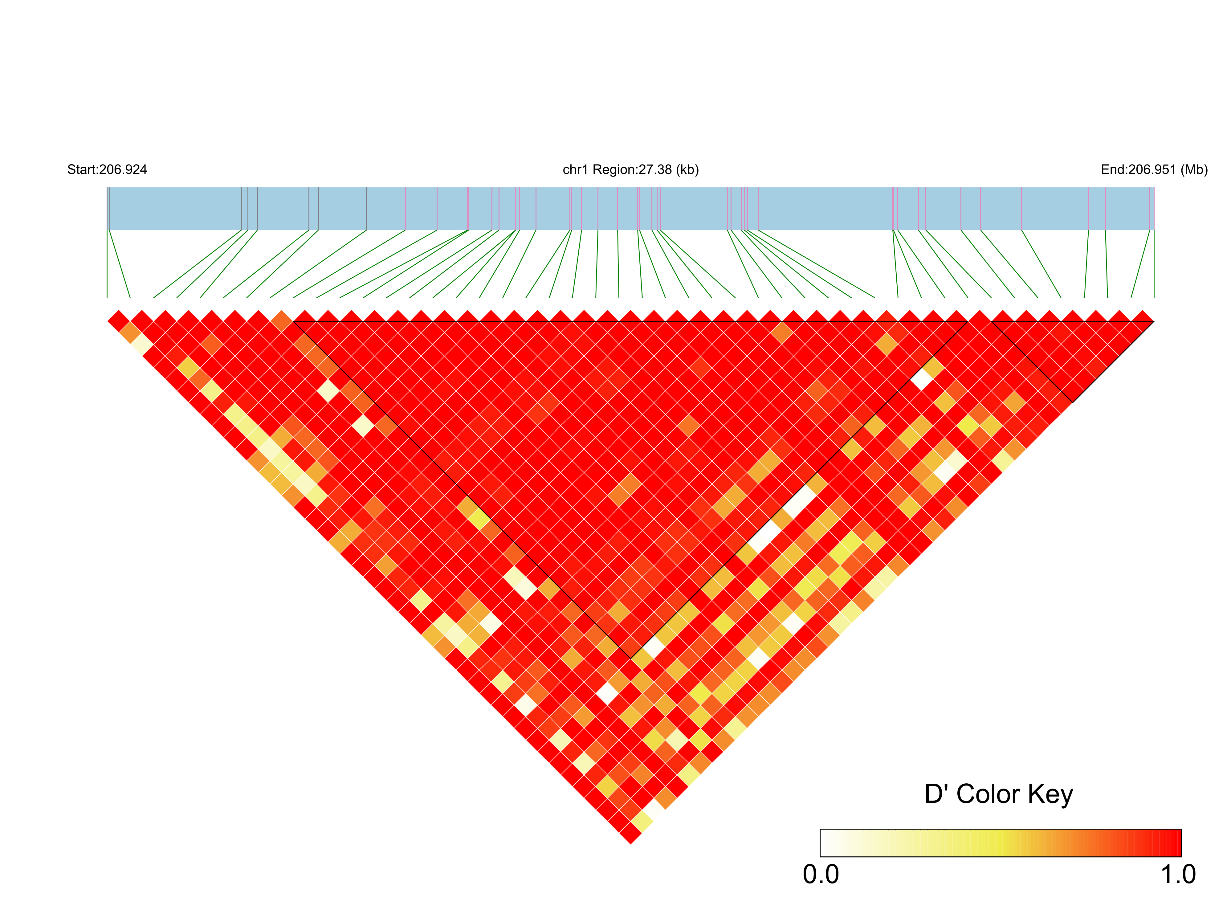 LD