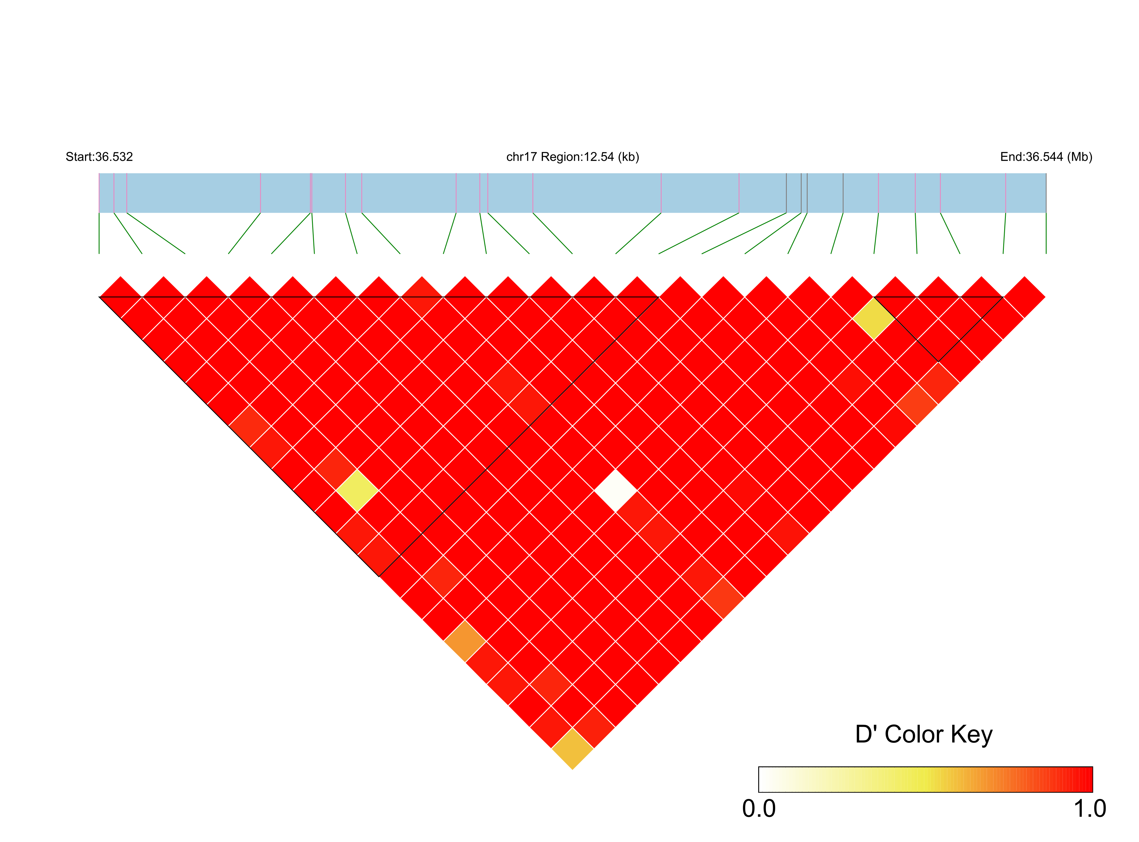 LD