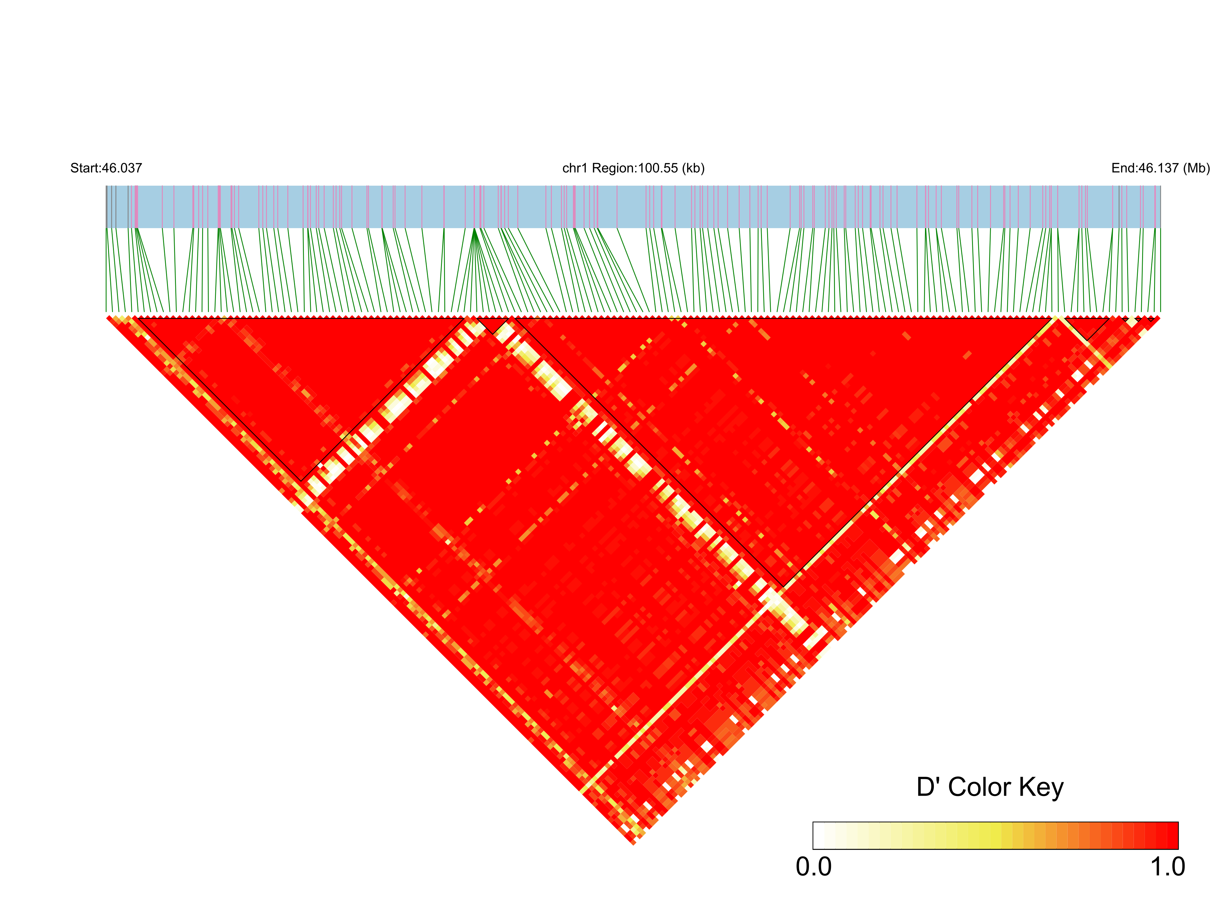 LD
