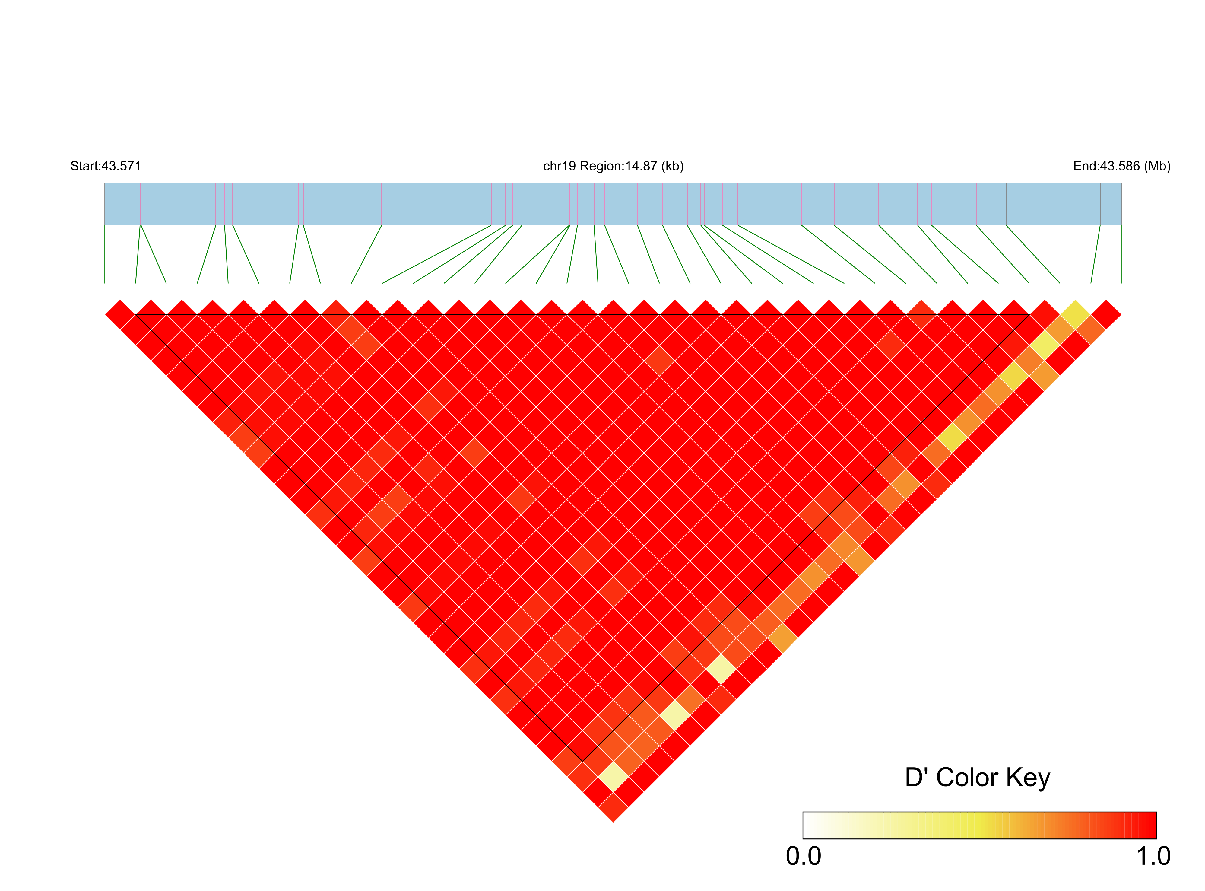 LD