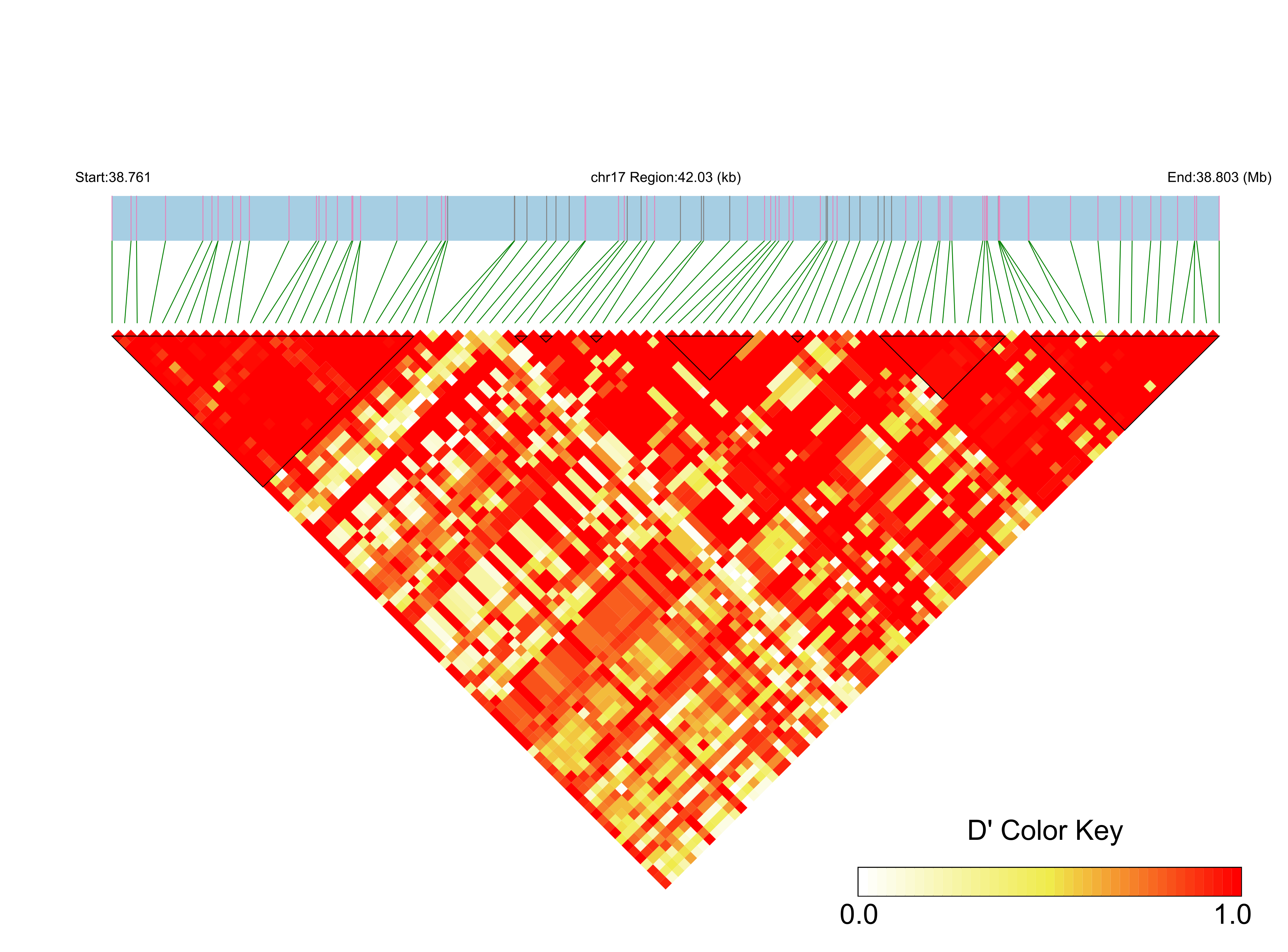 LD
