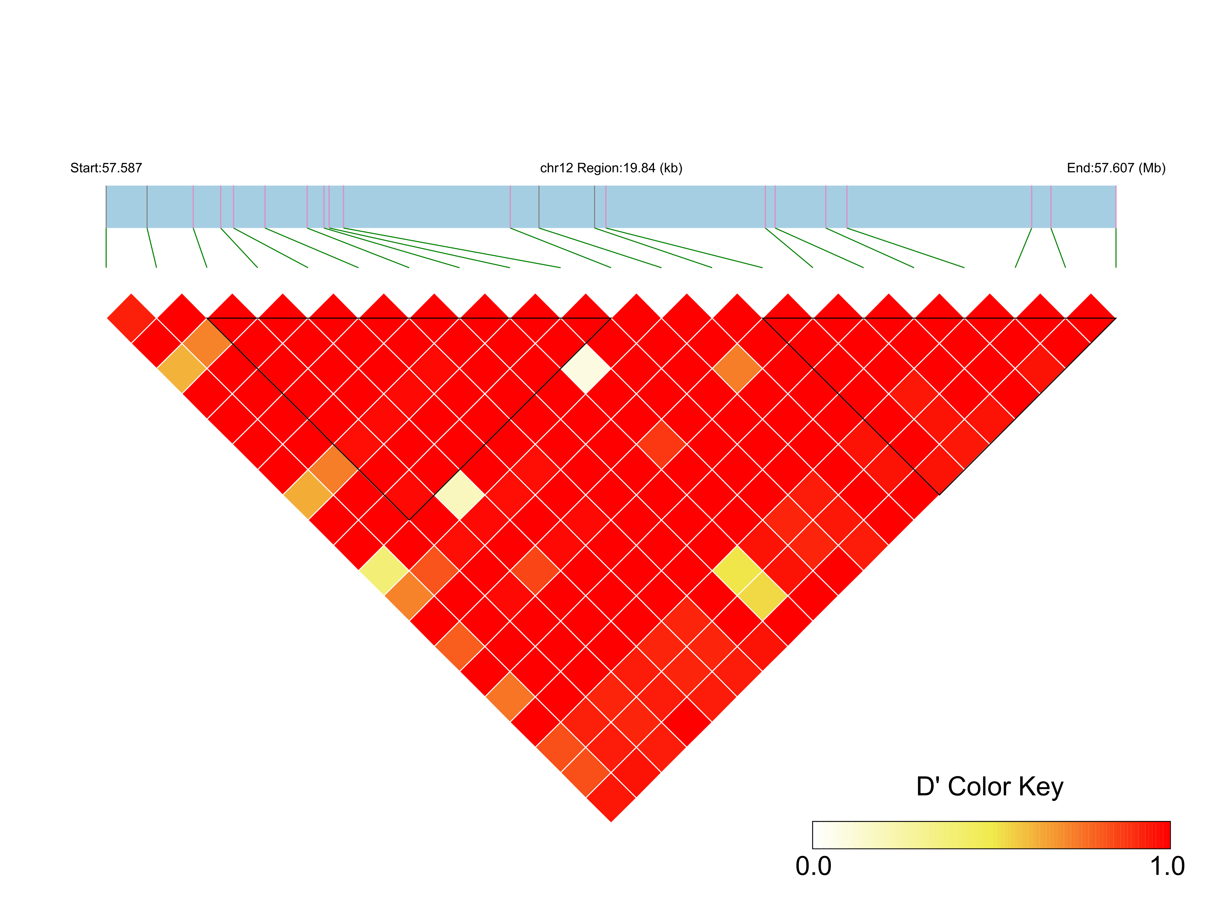 LD