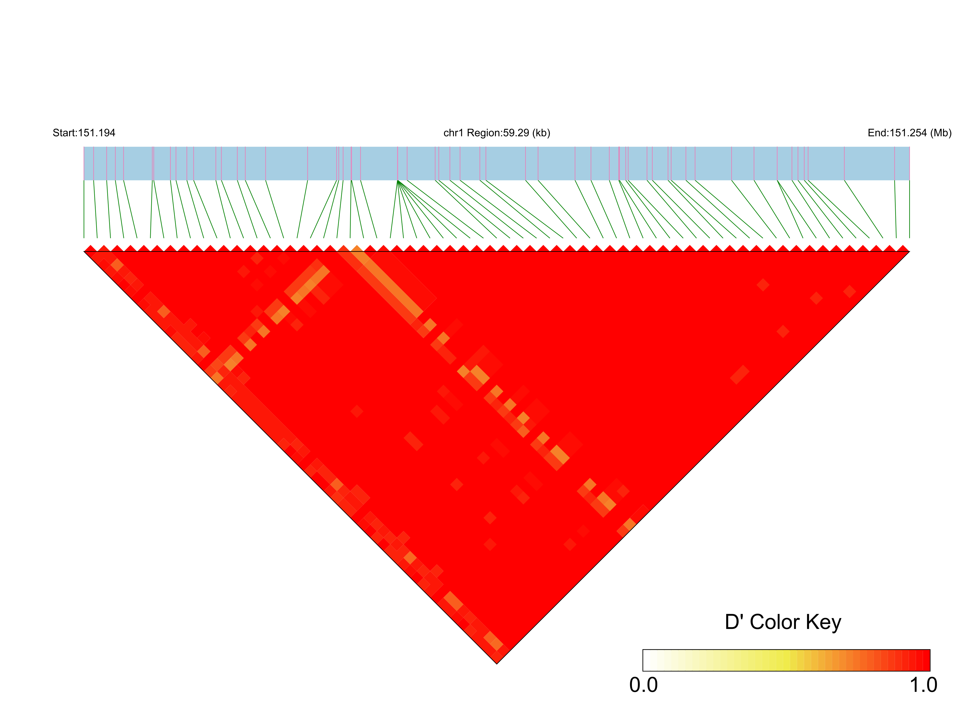 LD