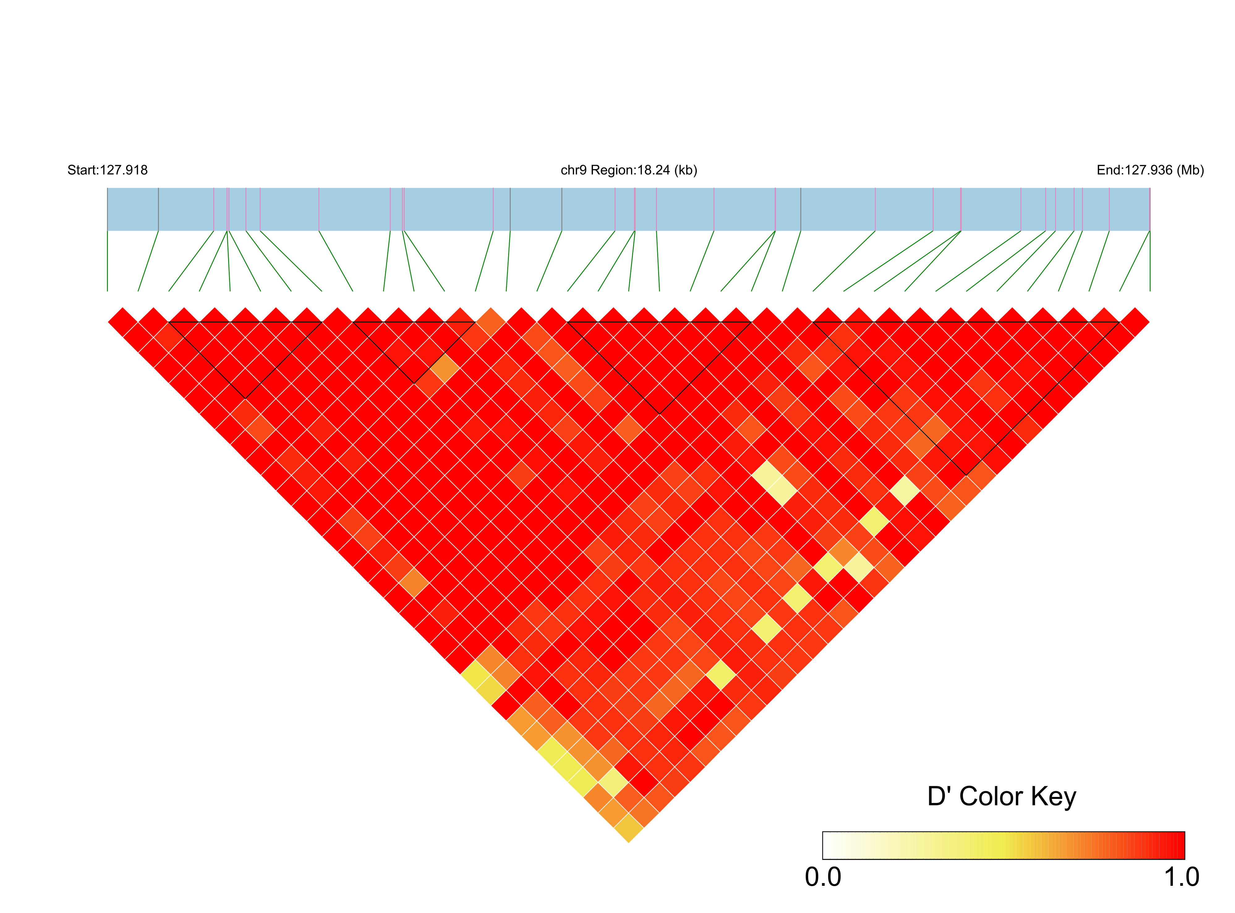 LD