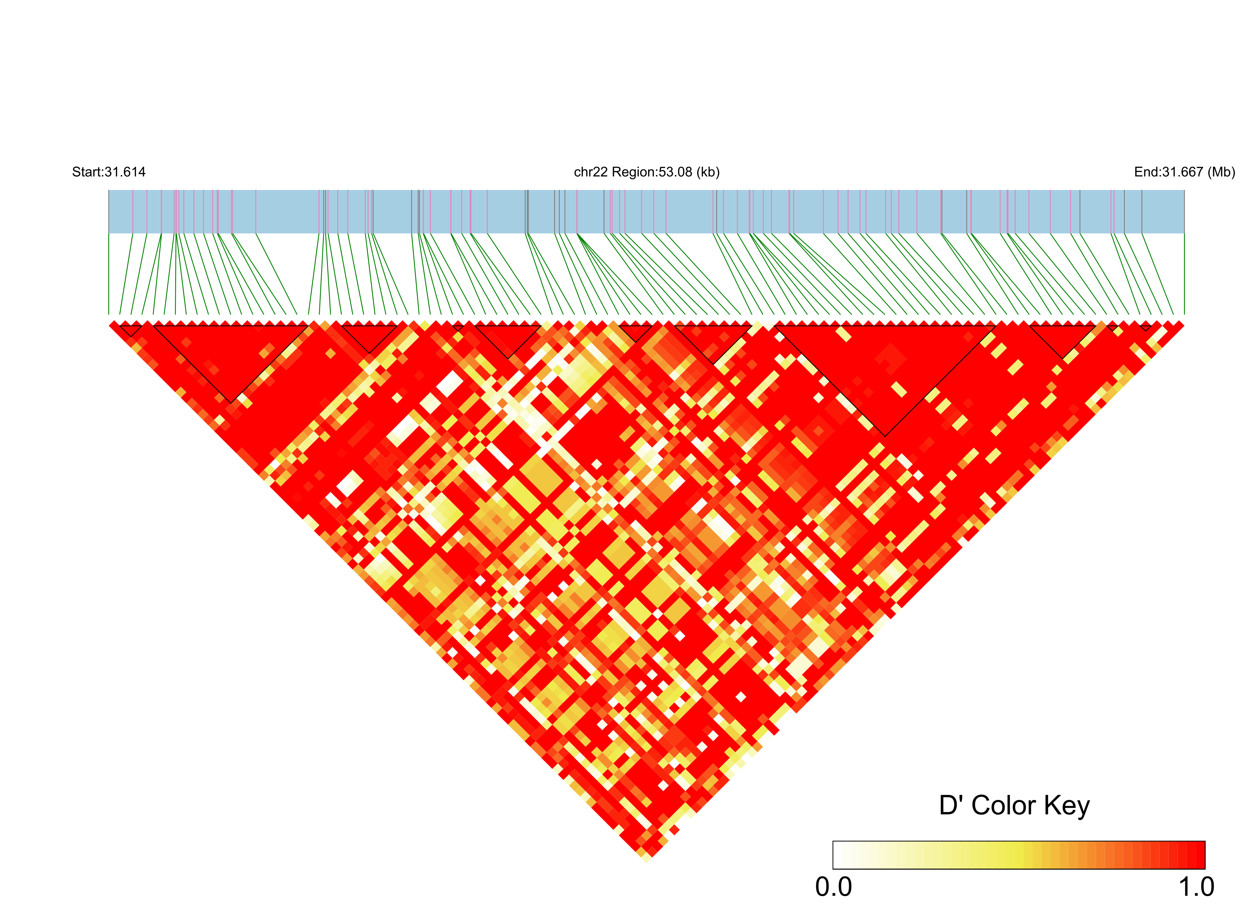 LD