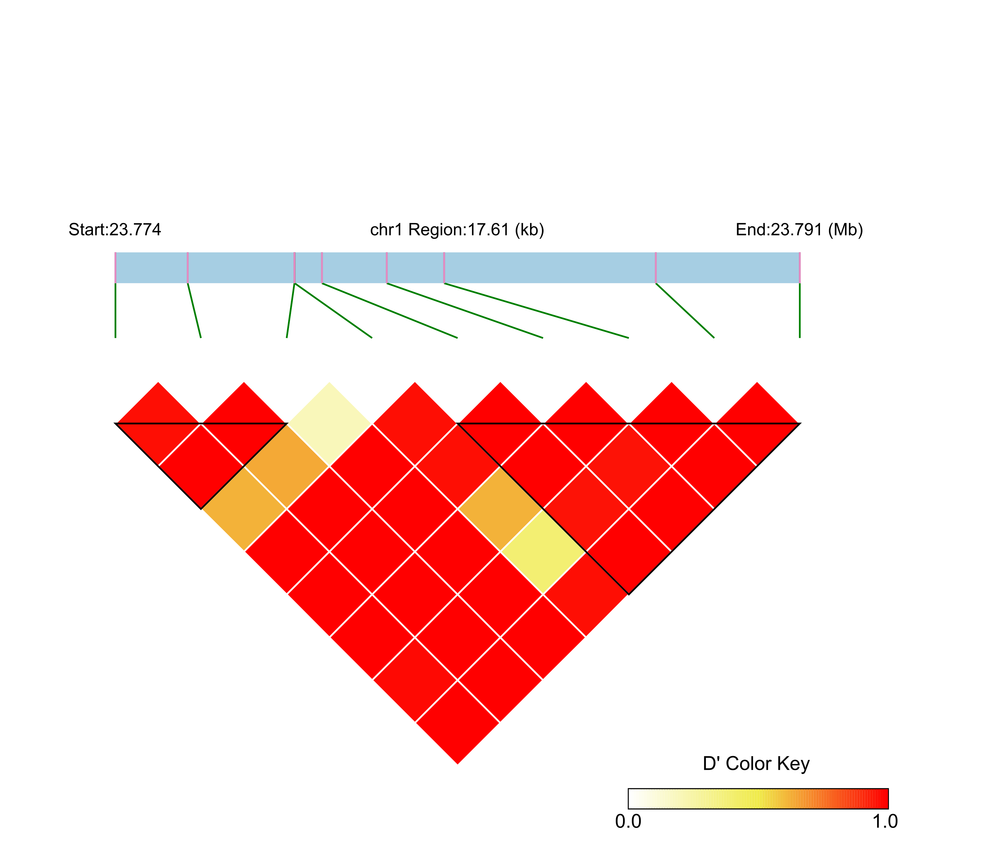 LD