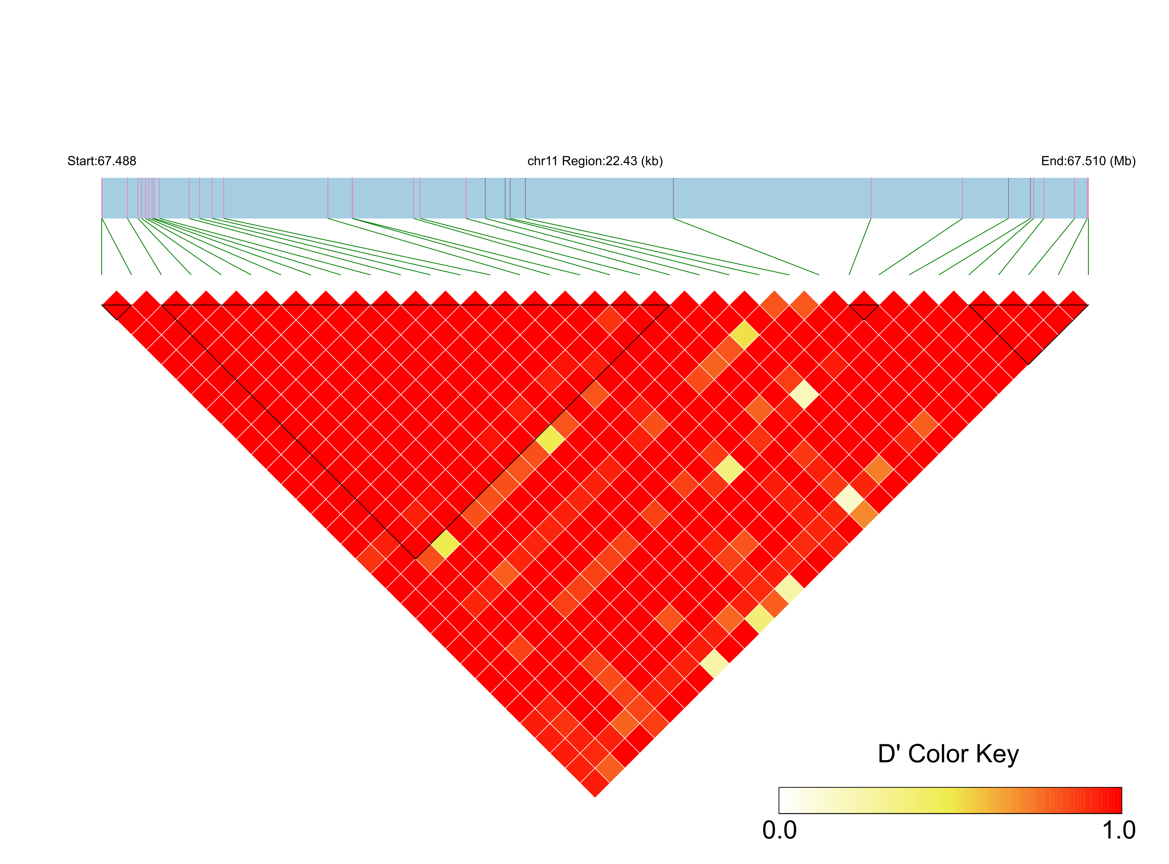 LD