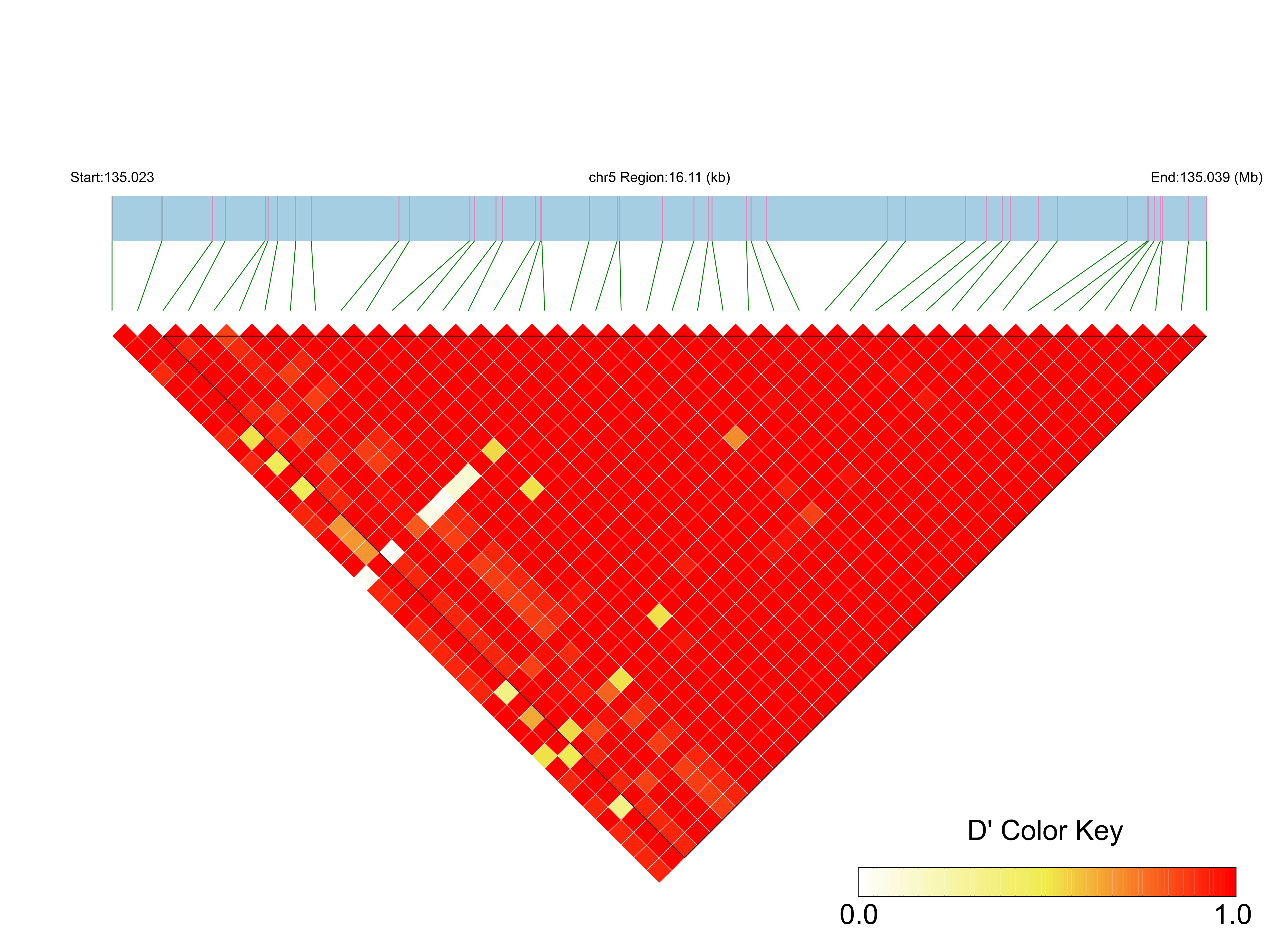 LD