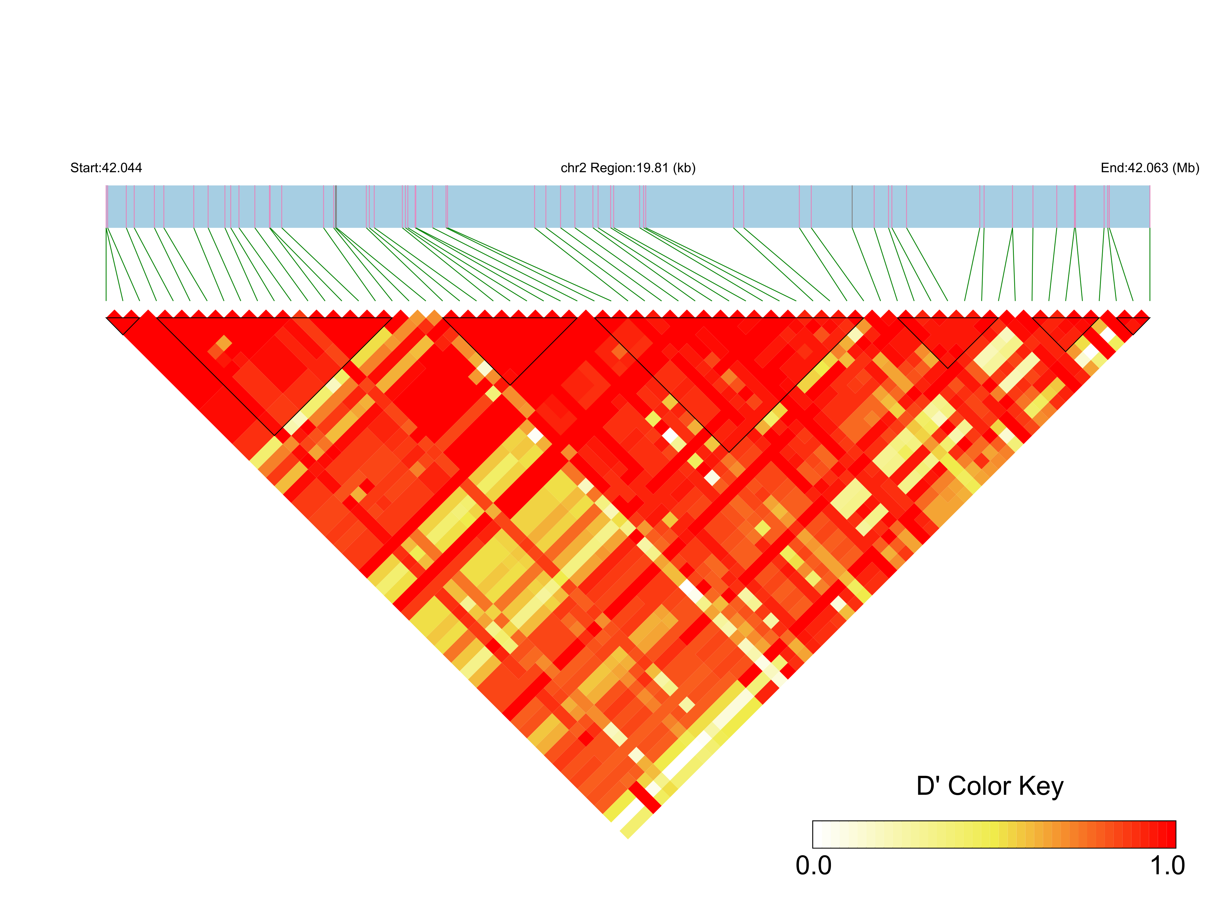 LD