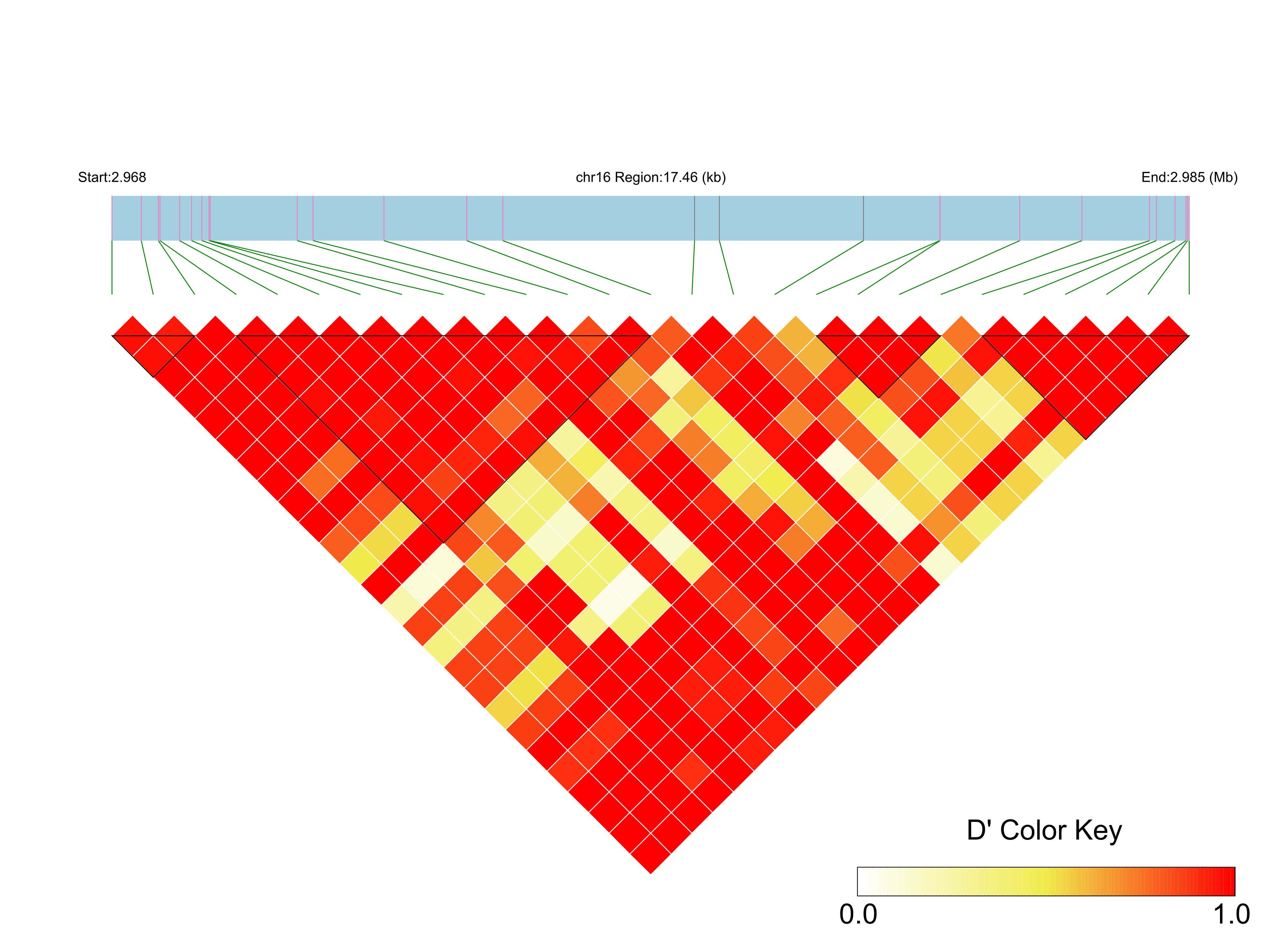 LD