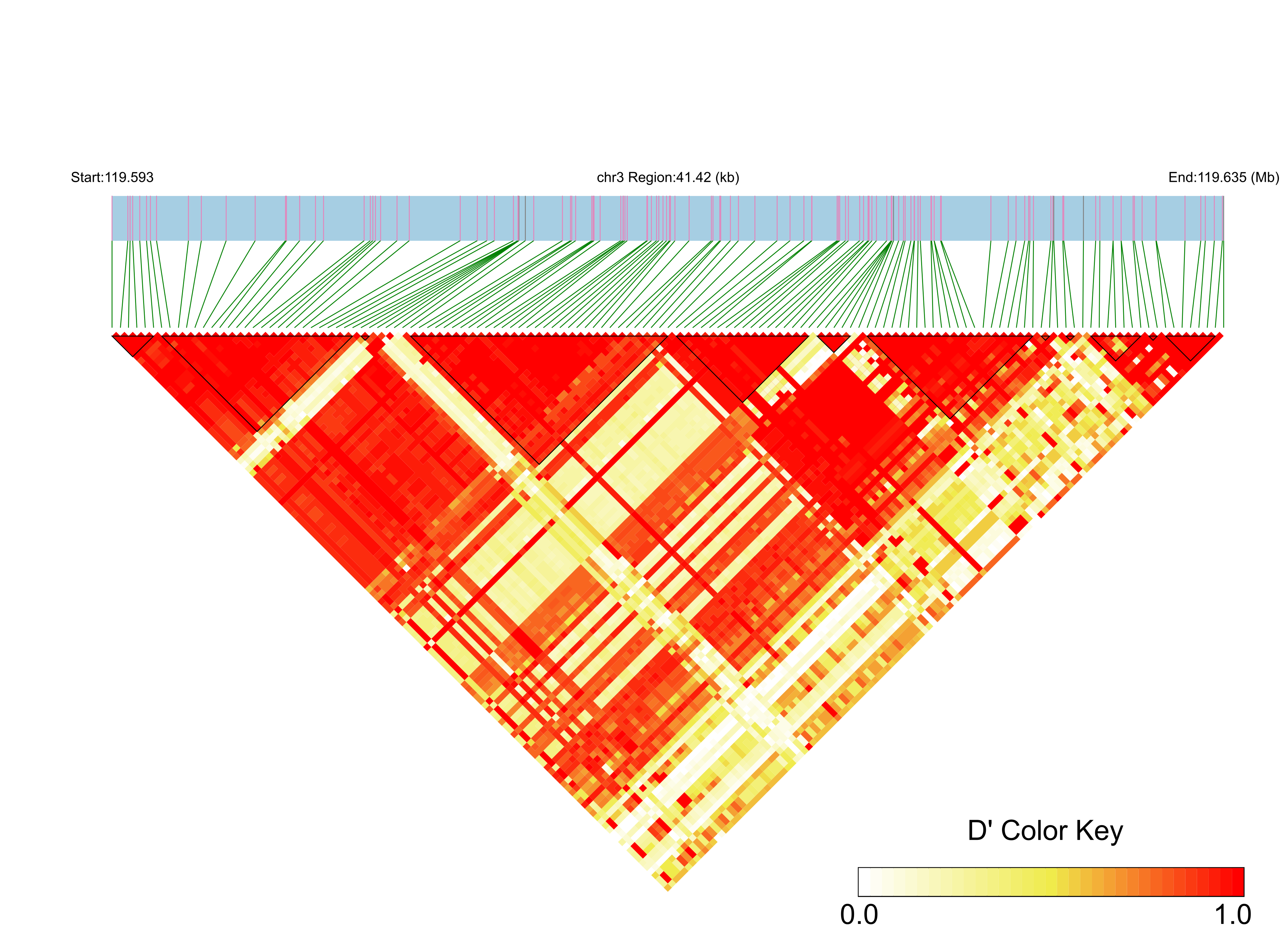 LD