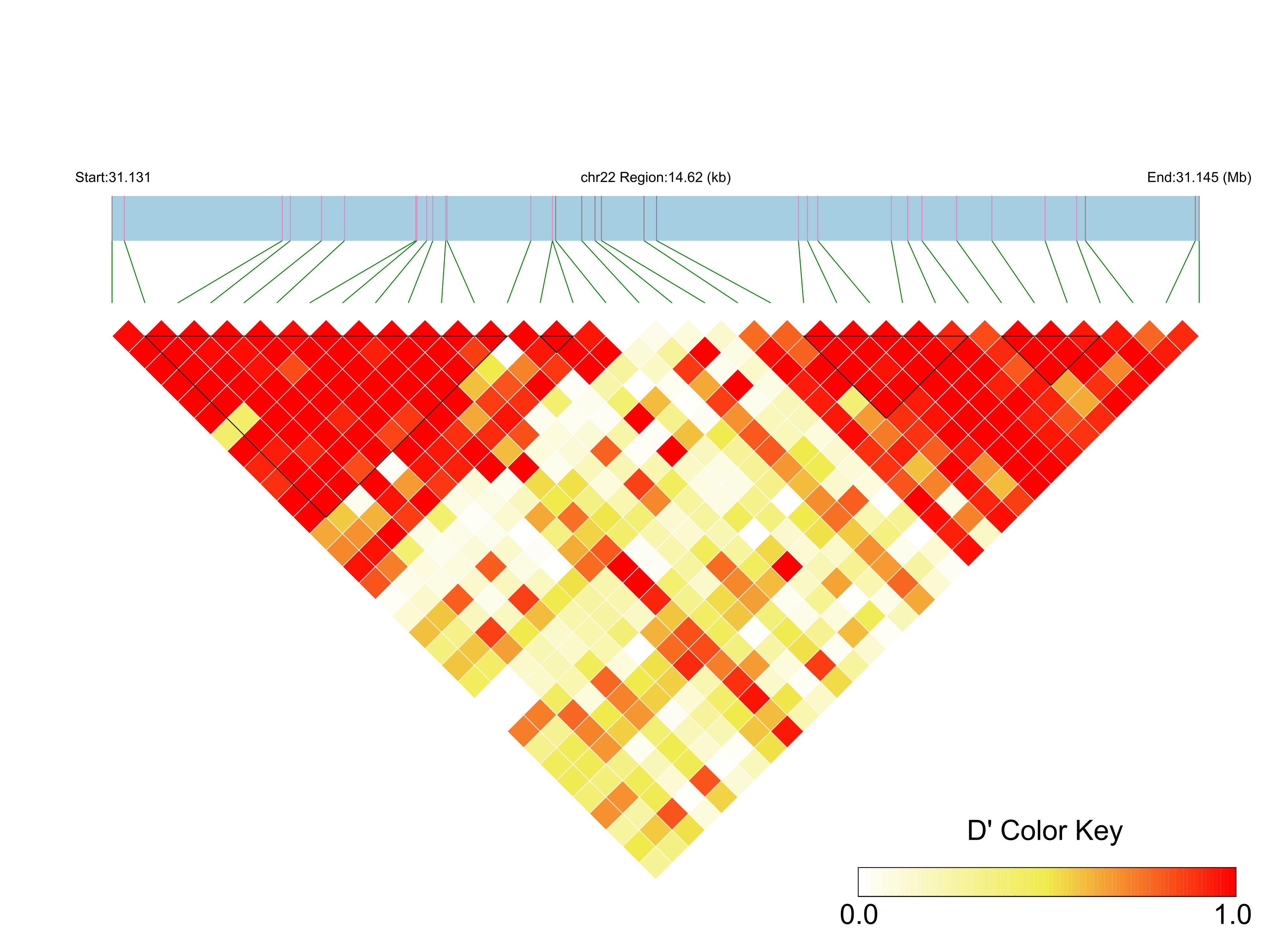 LD