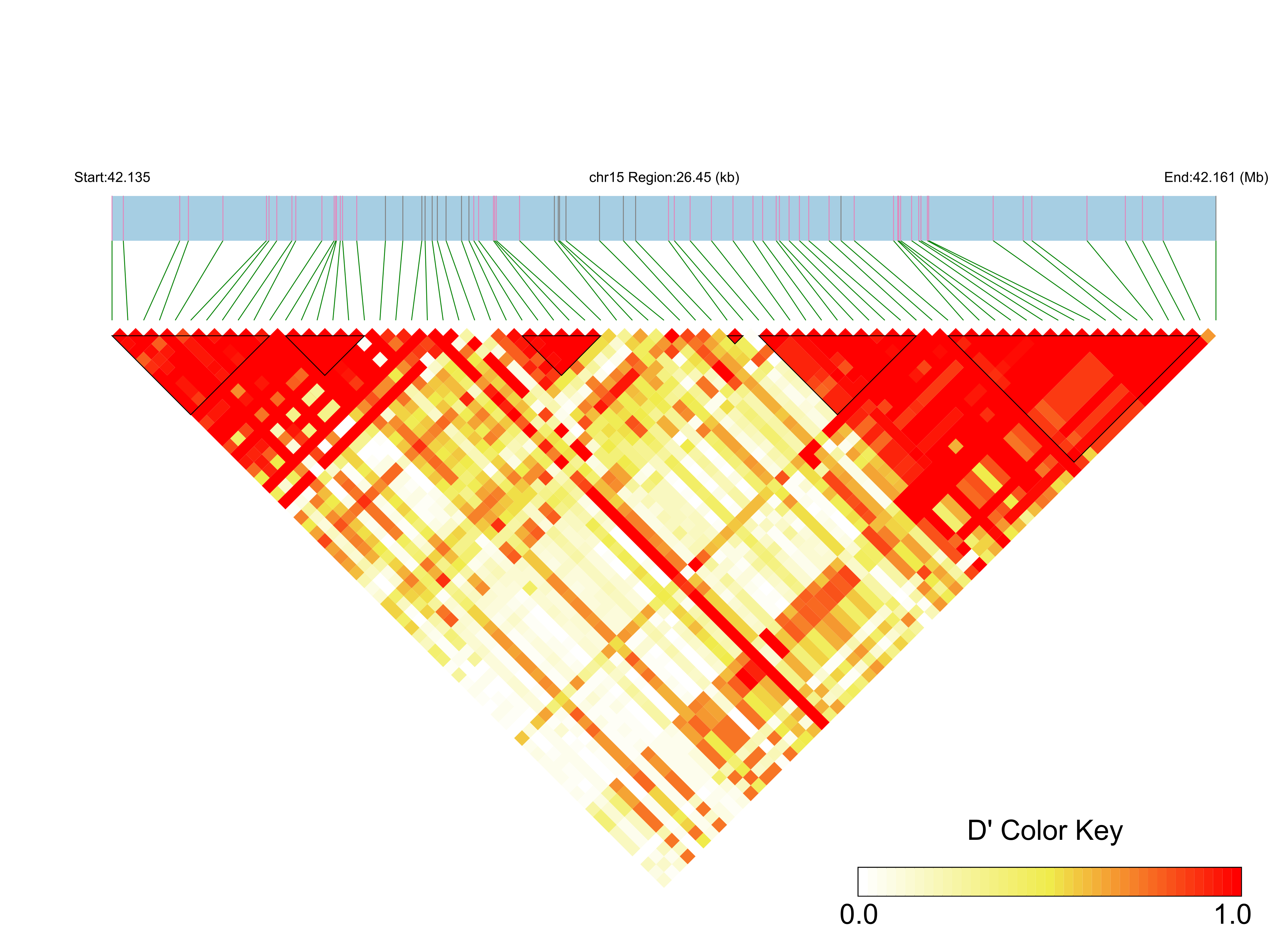 LD