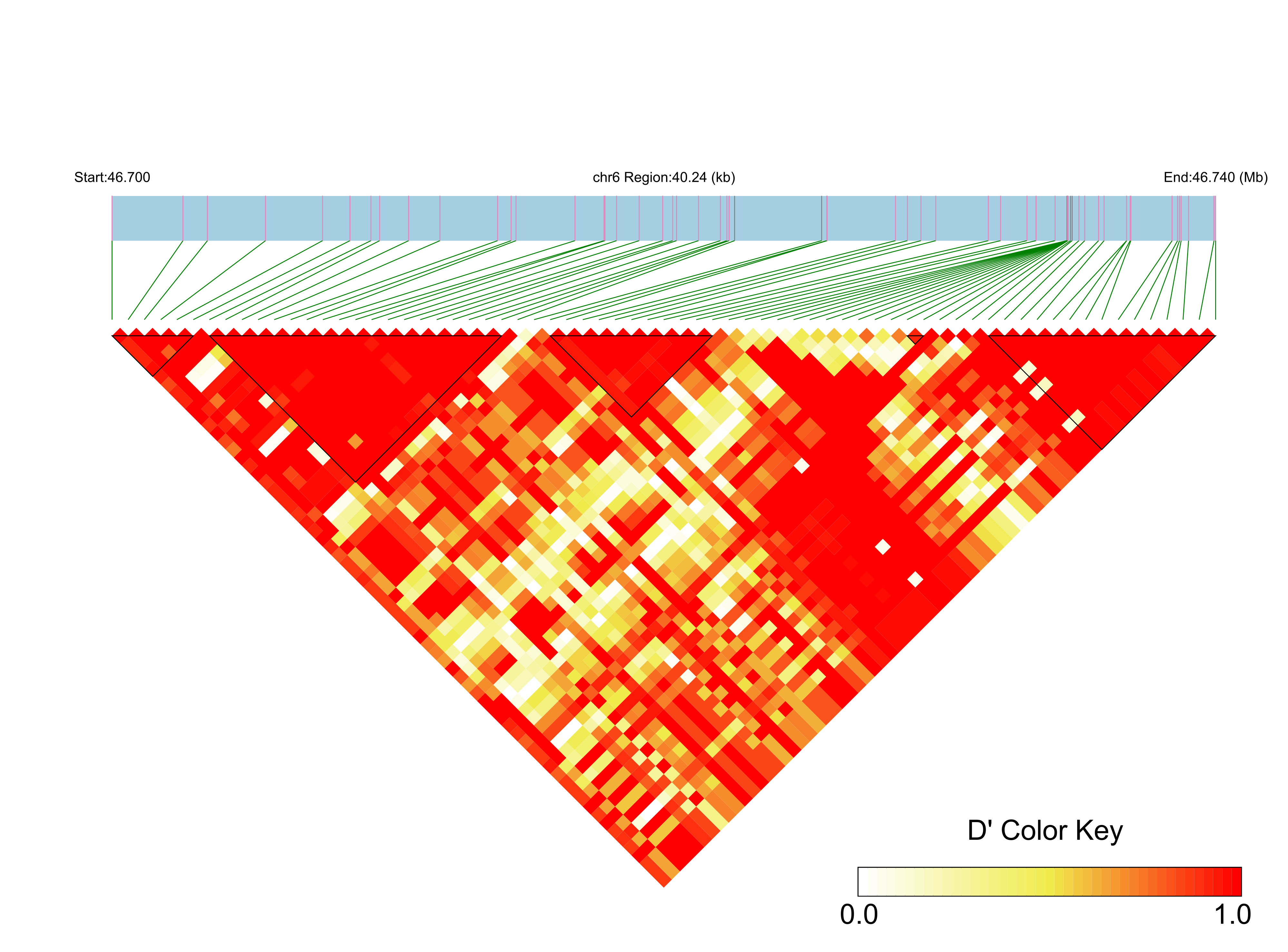 LD