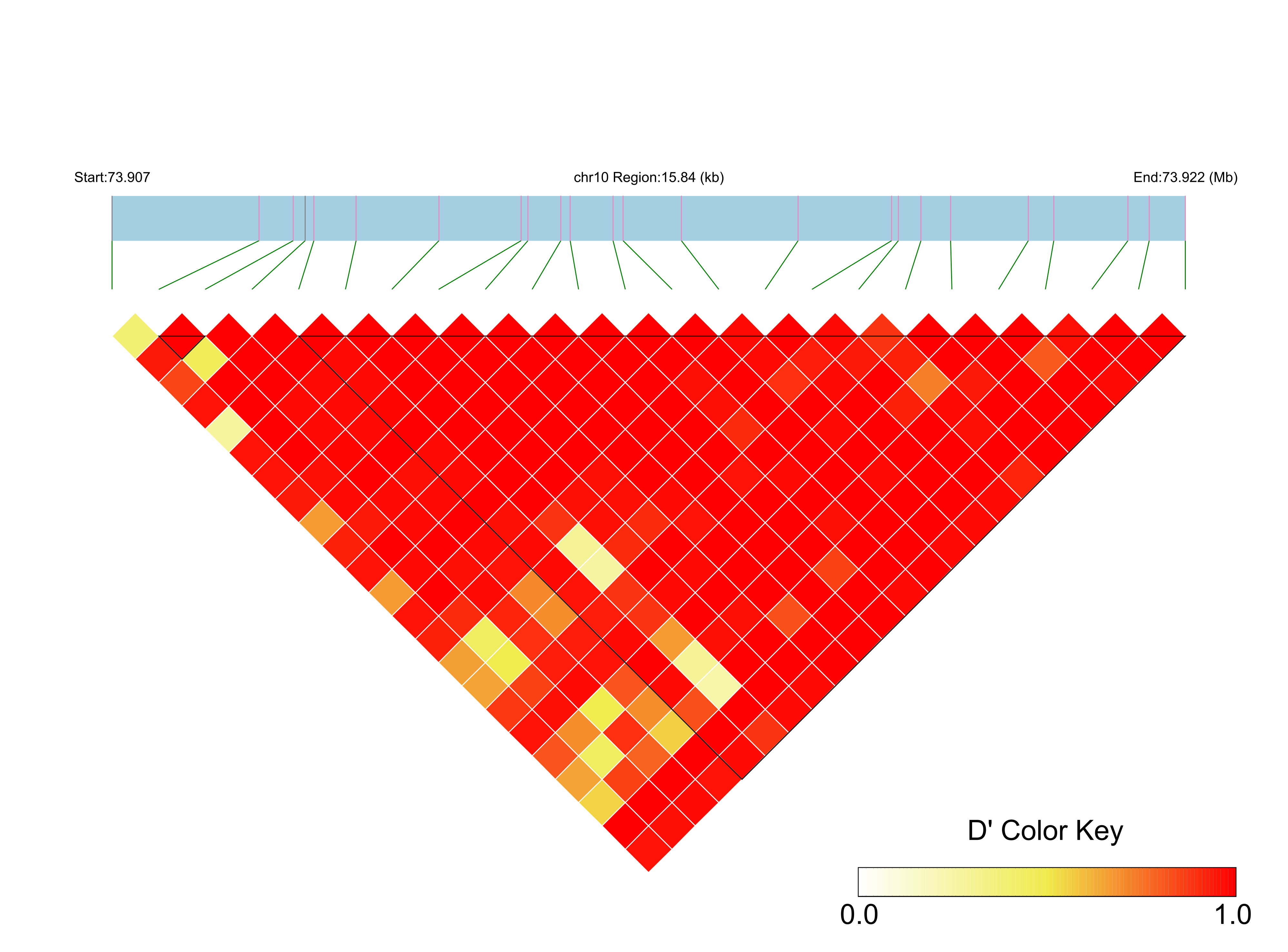 LD