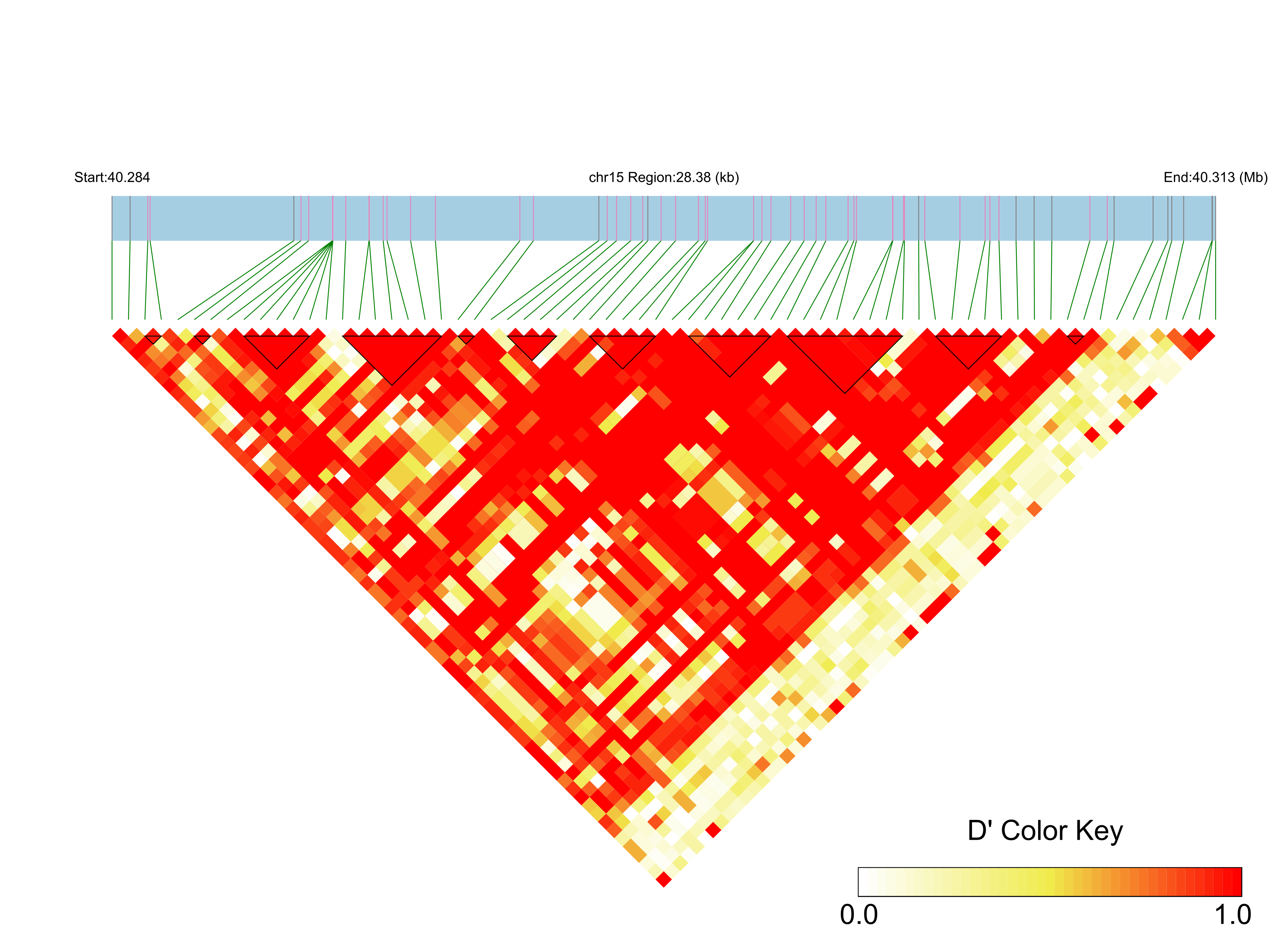 LD