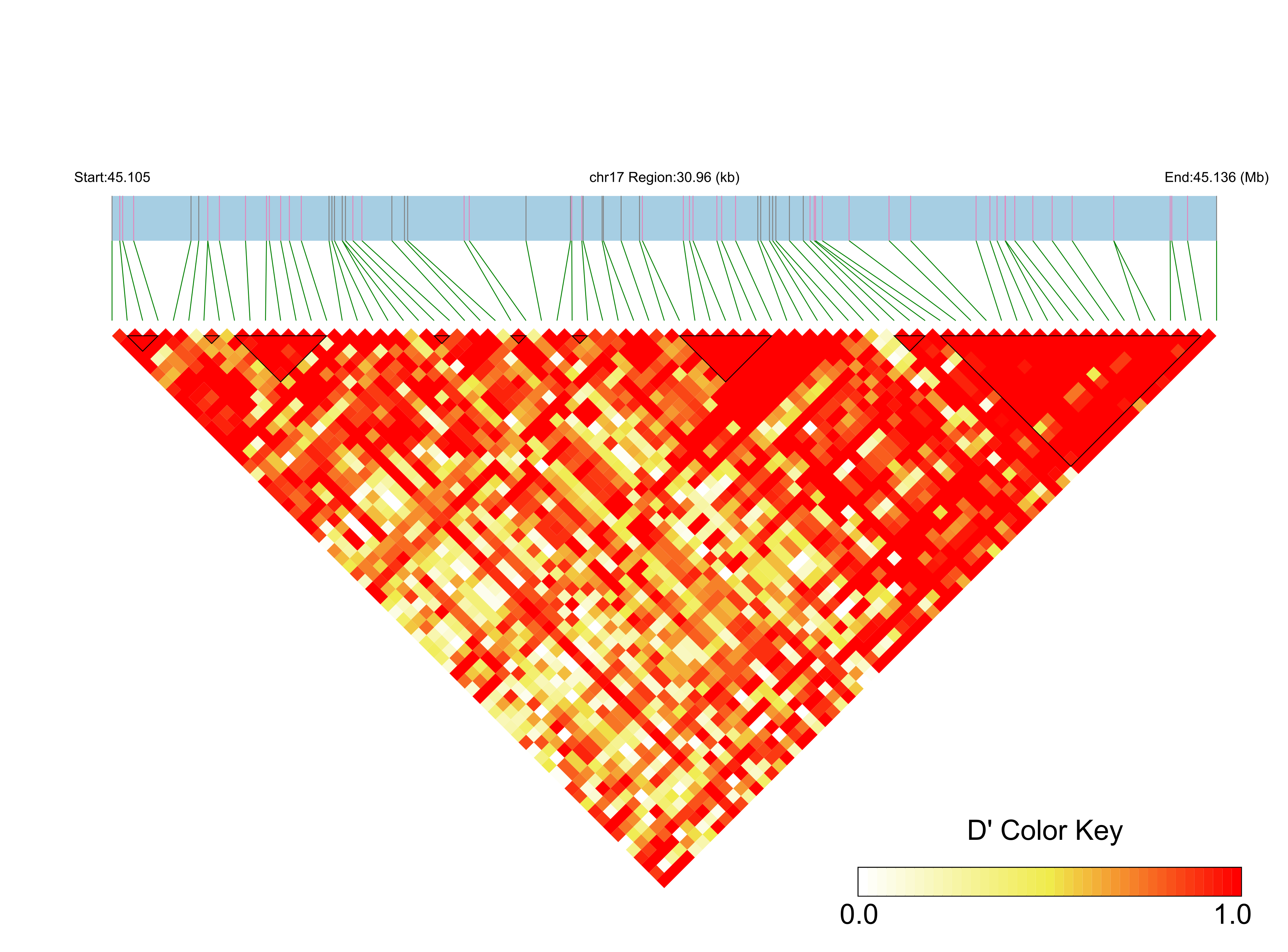 LD