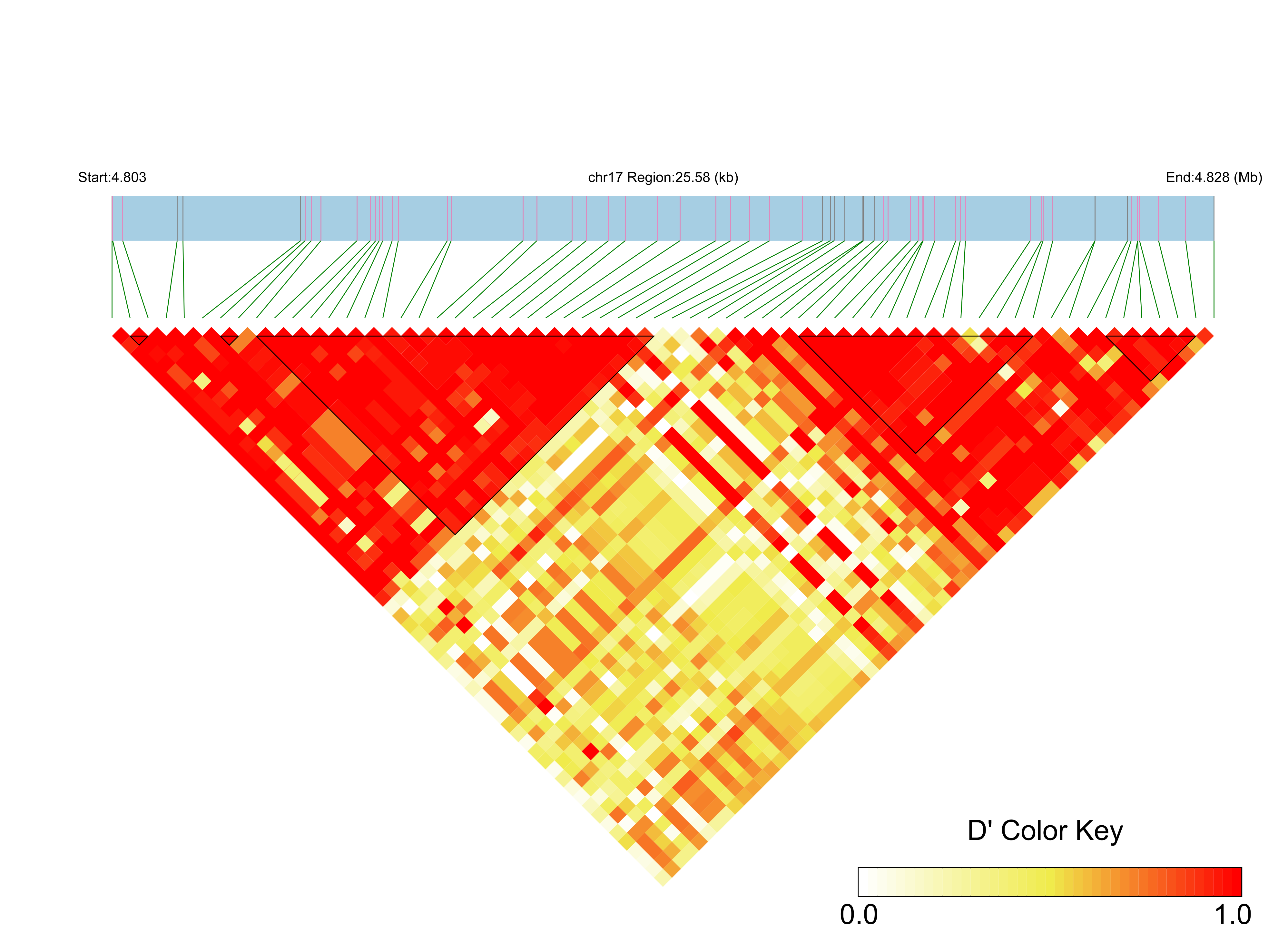 LD