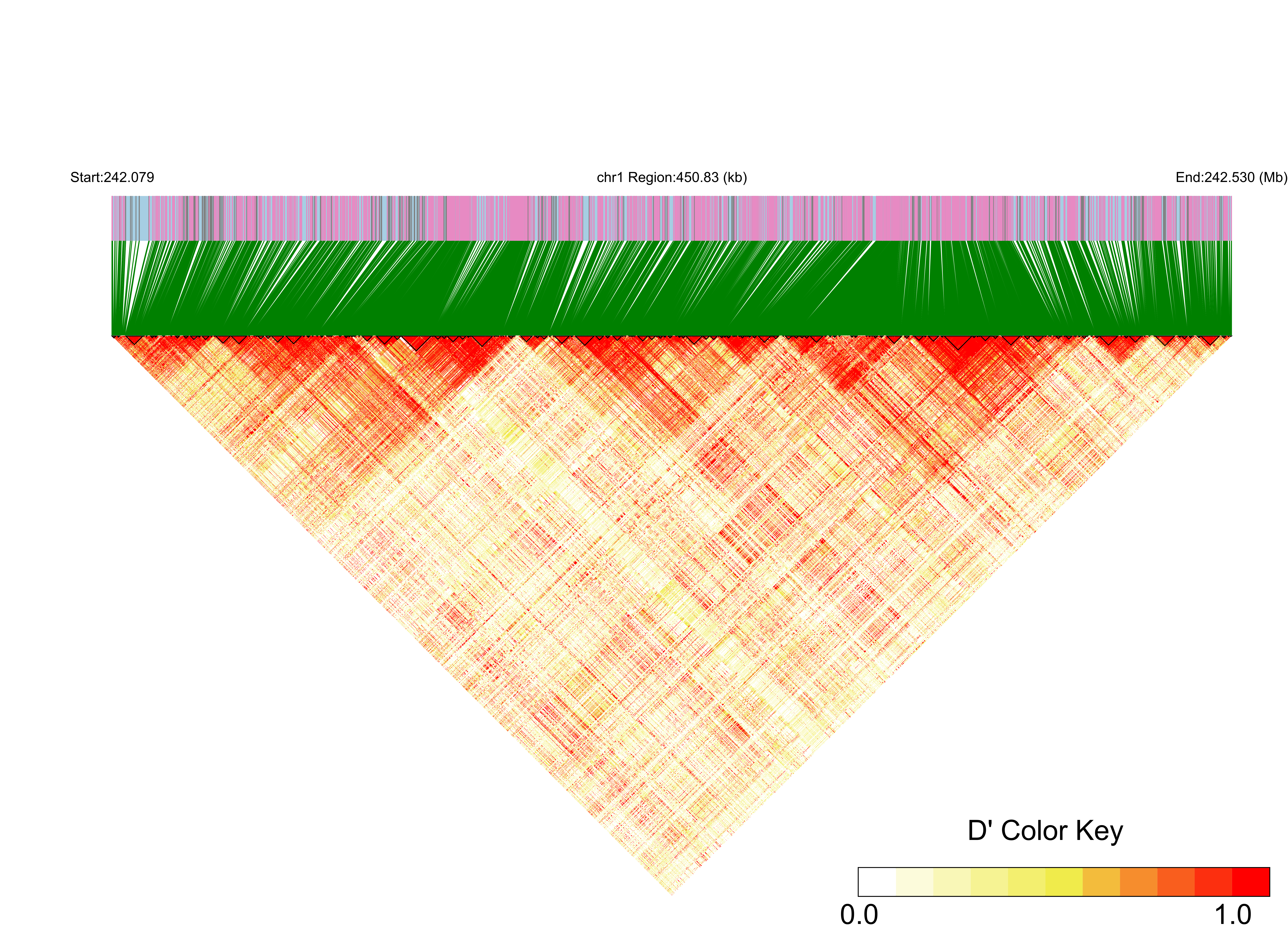 LD