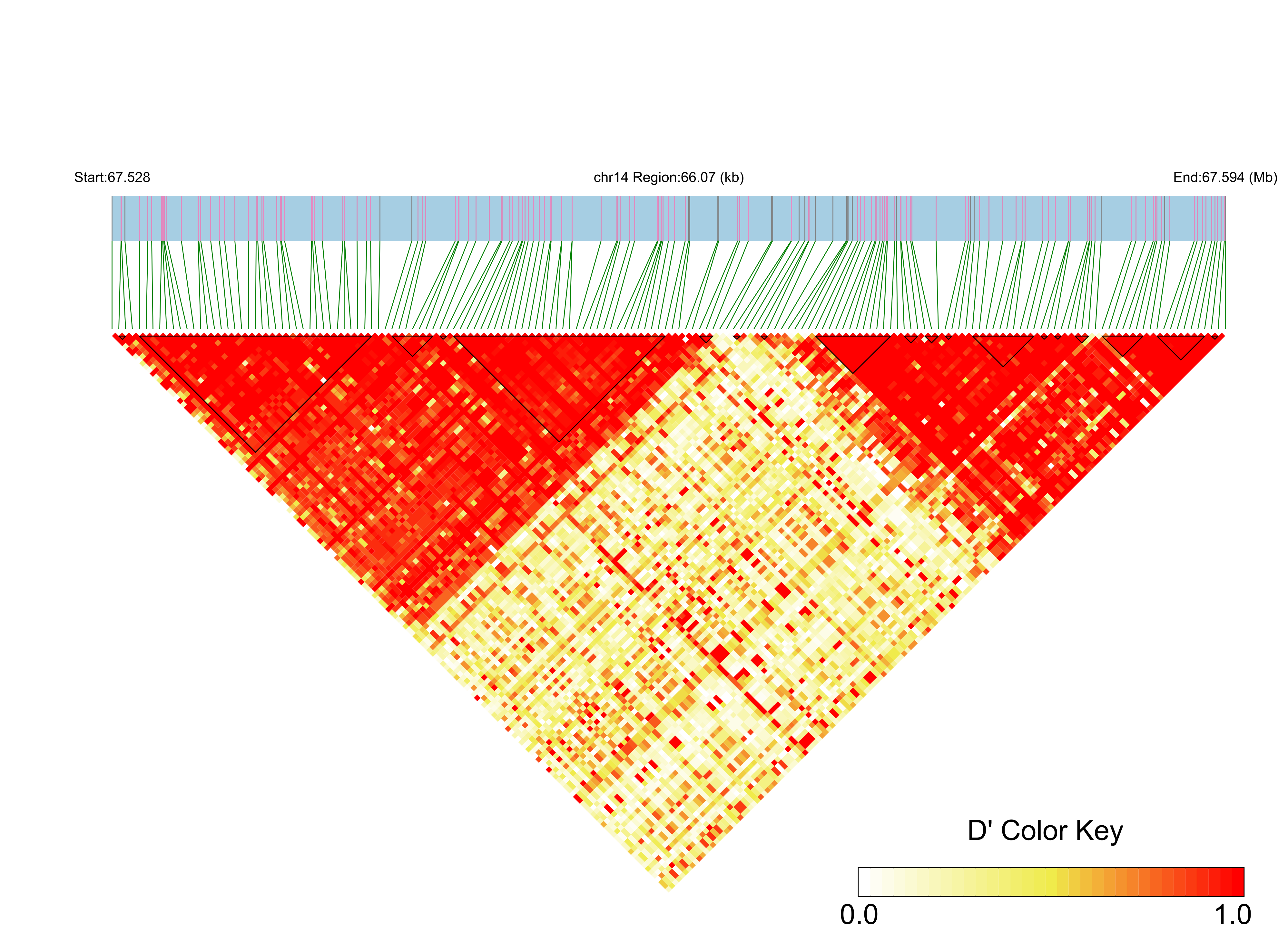 LD