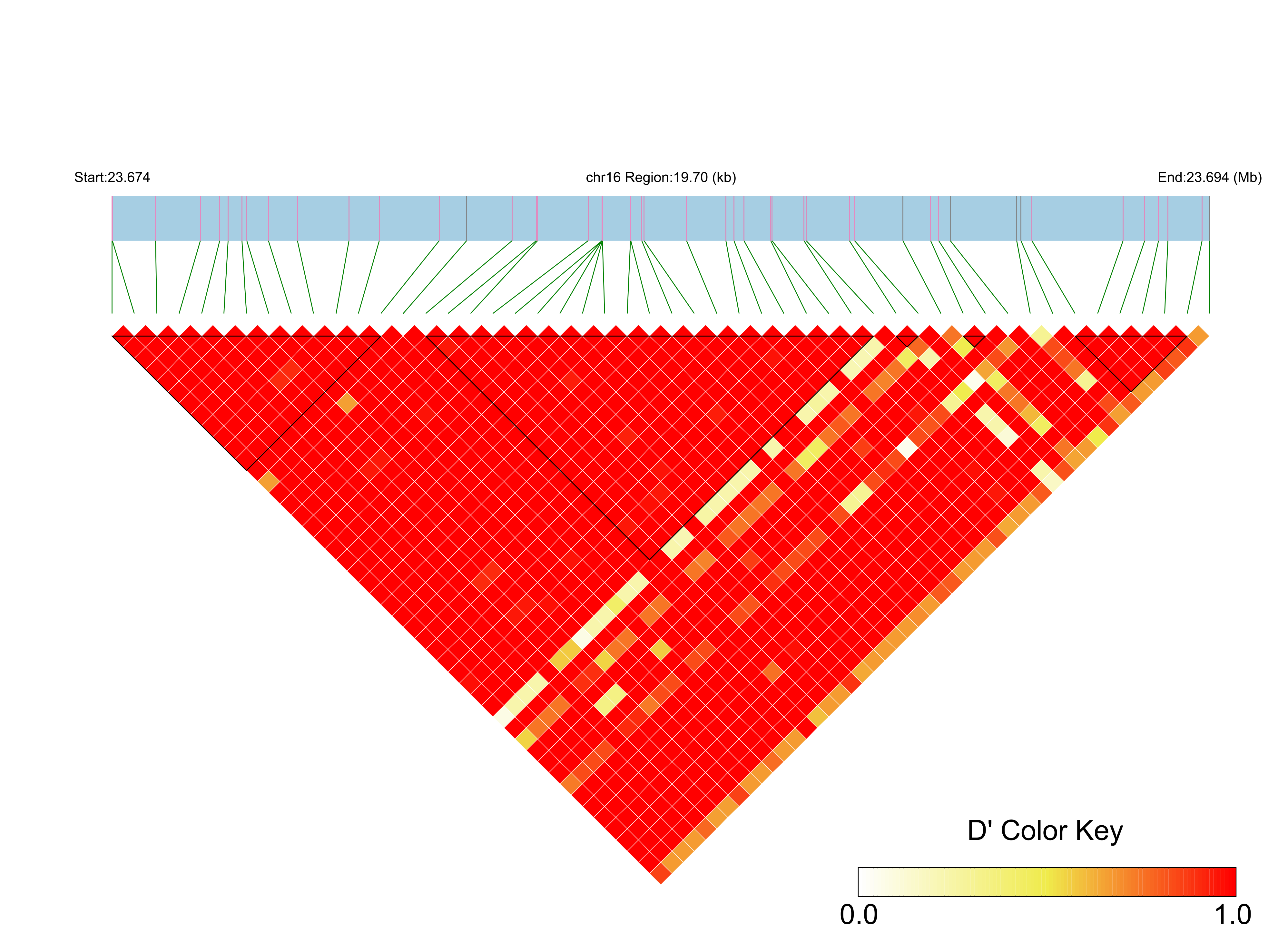 LD