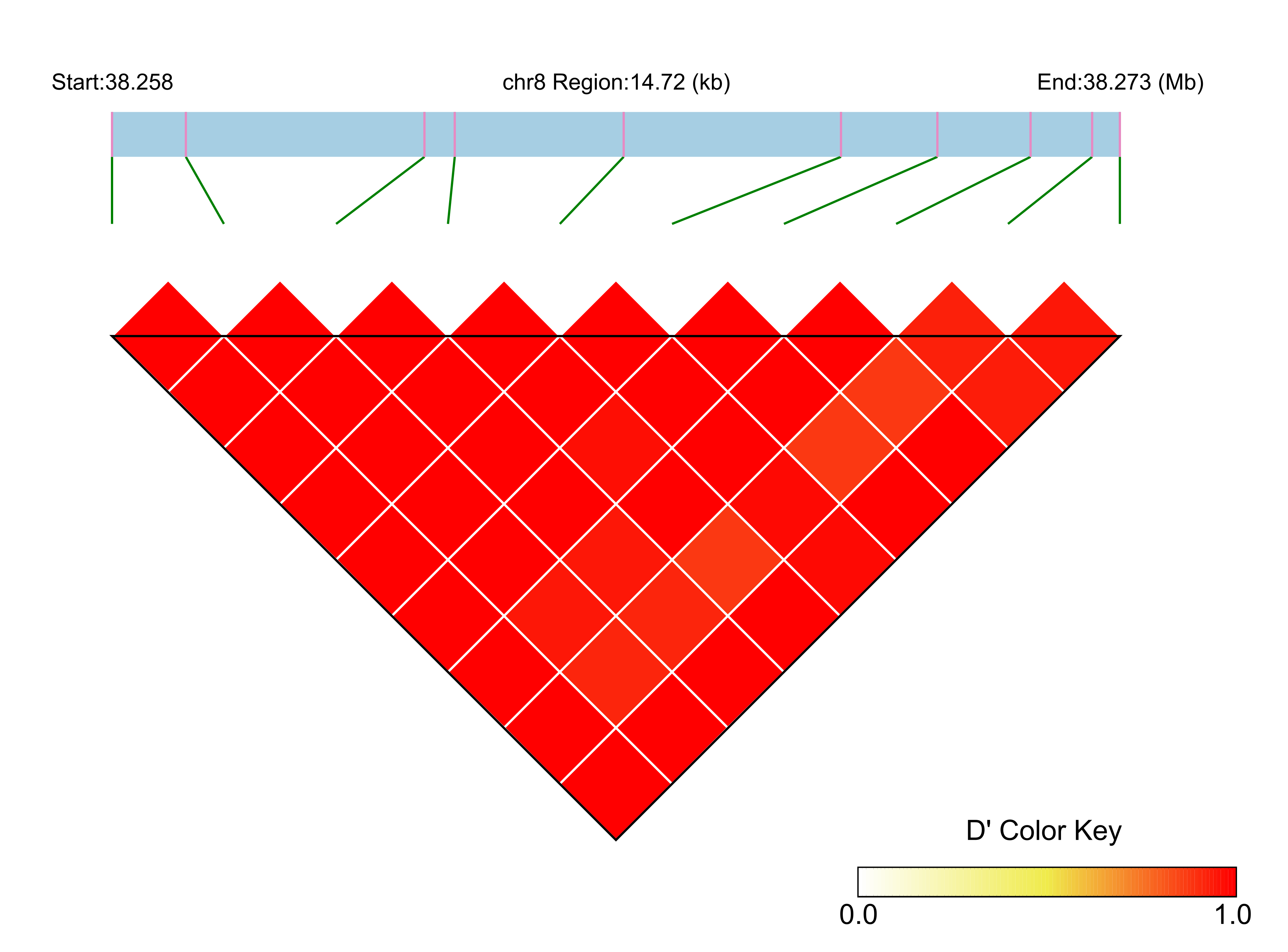LD