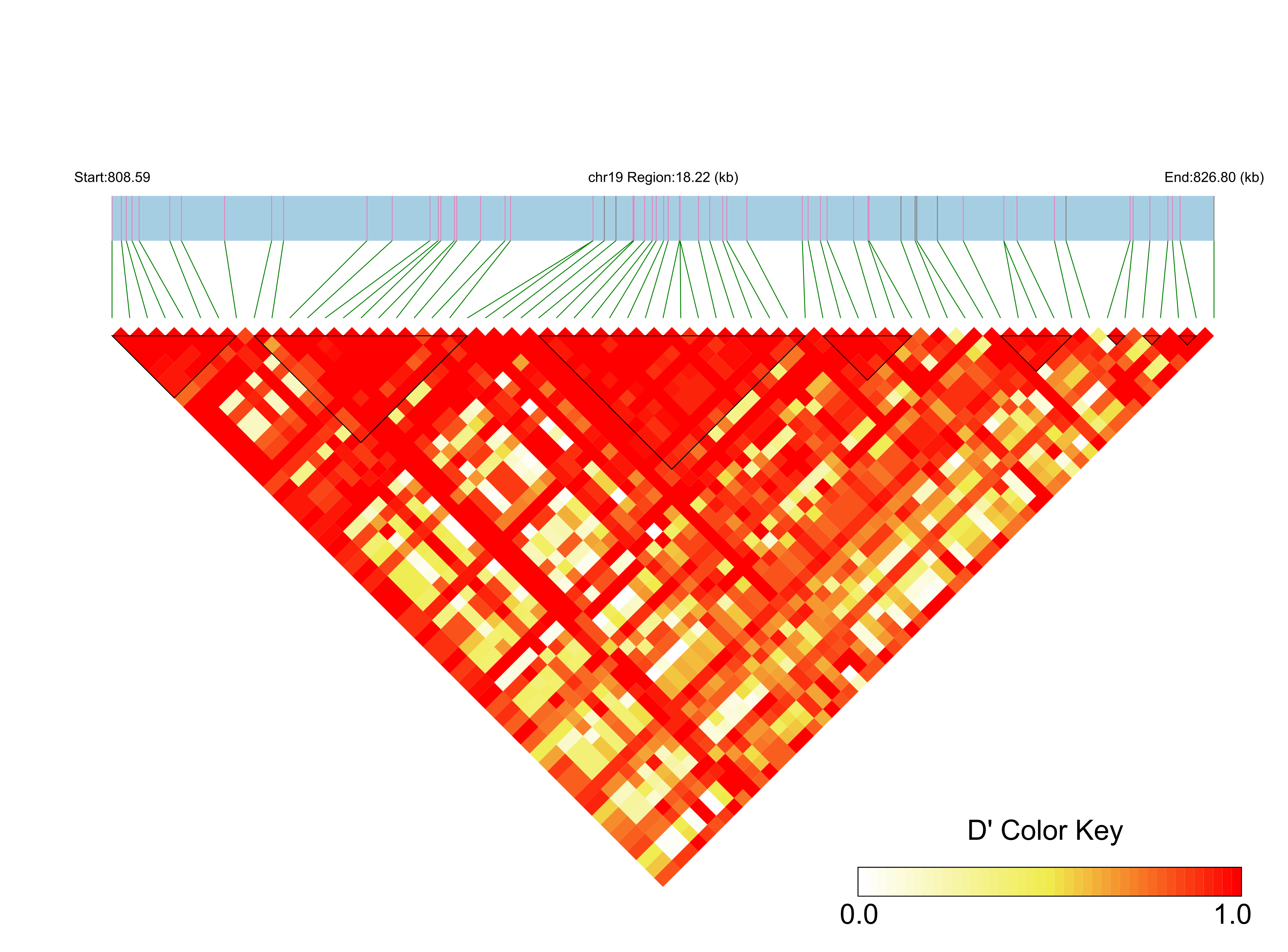 LD