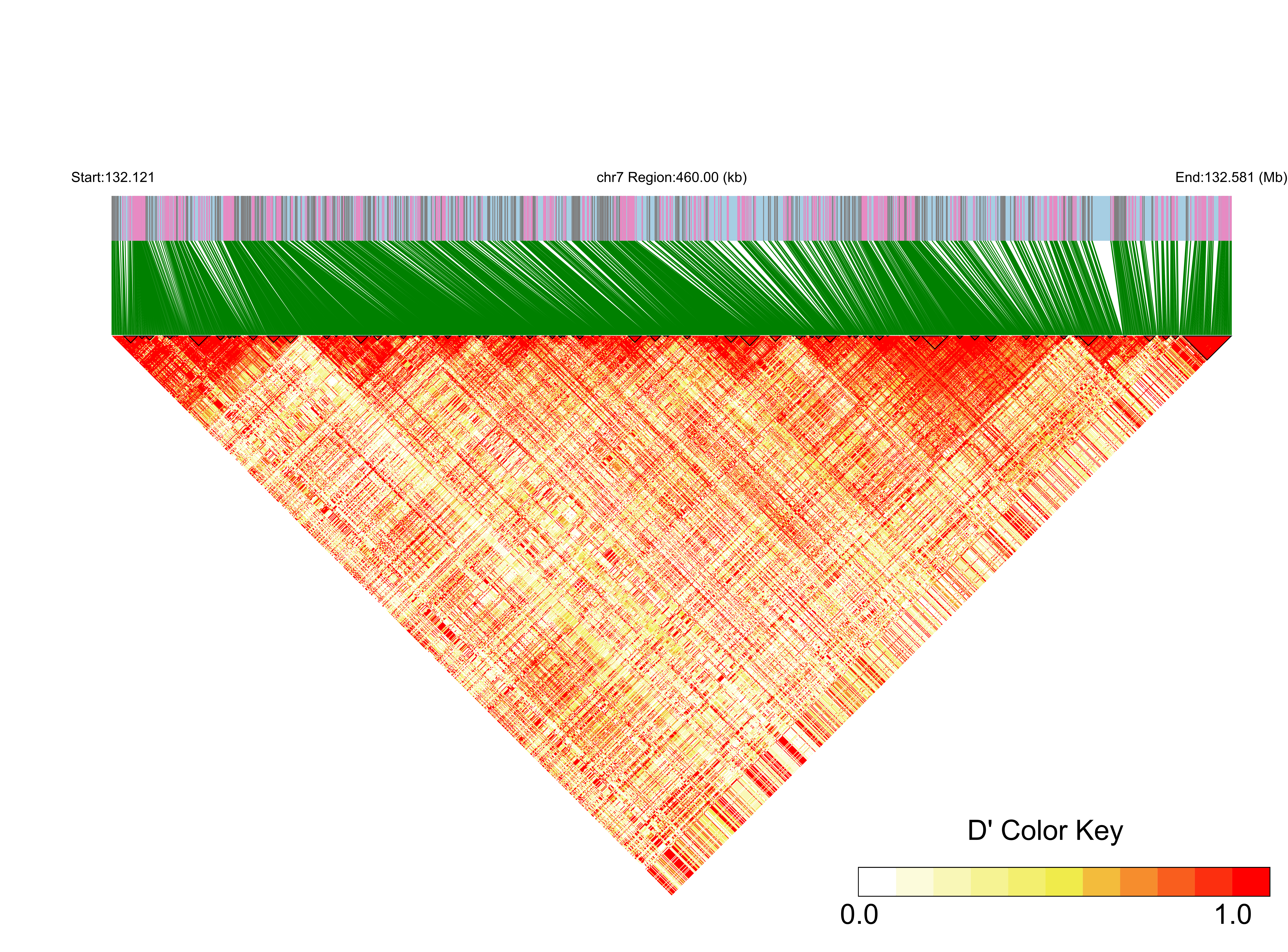 LD