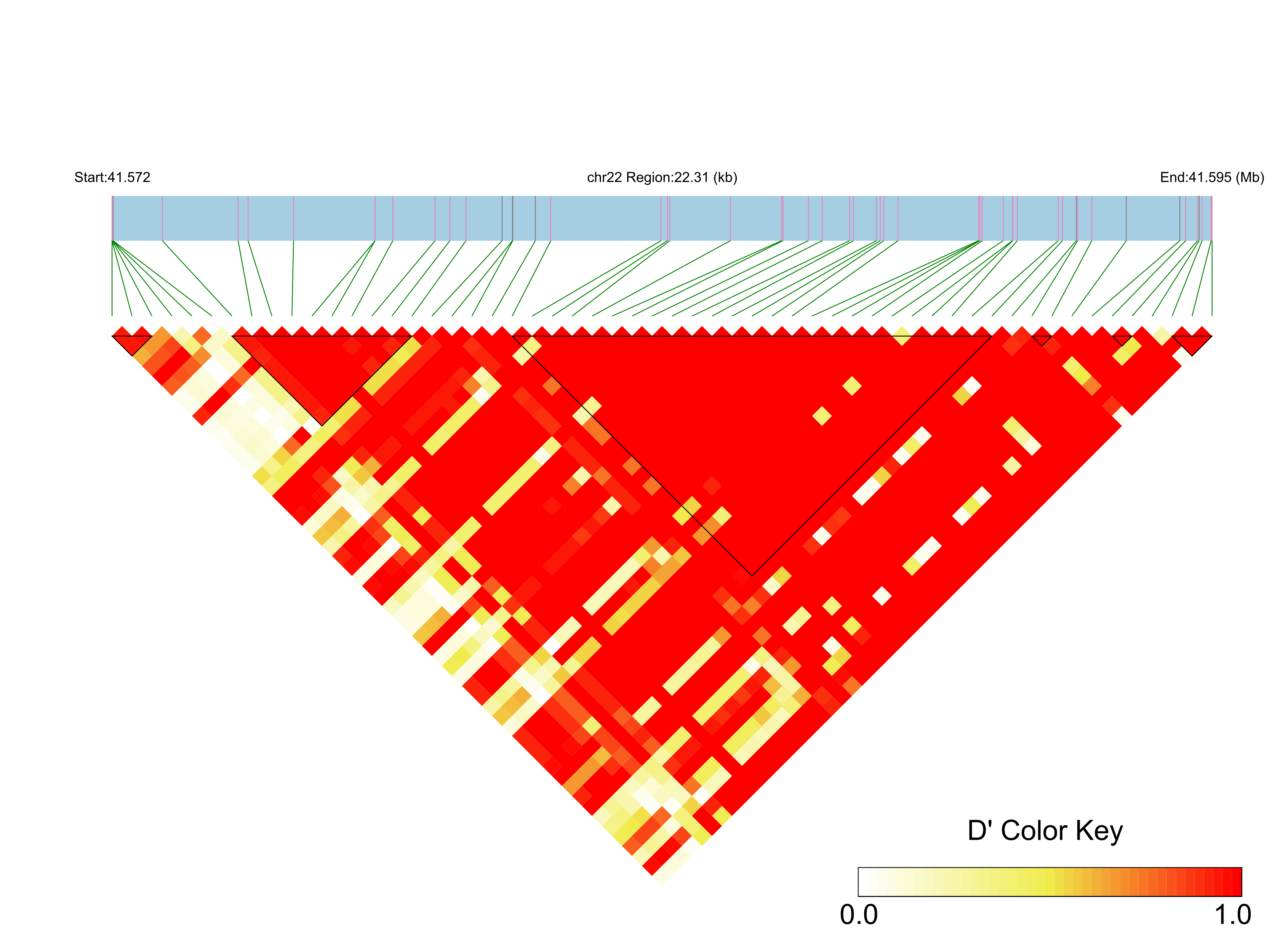 LD