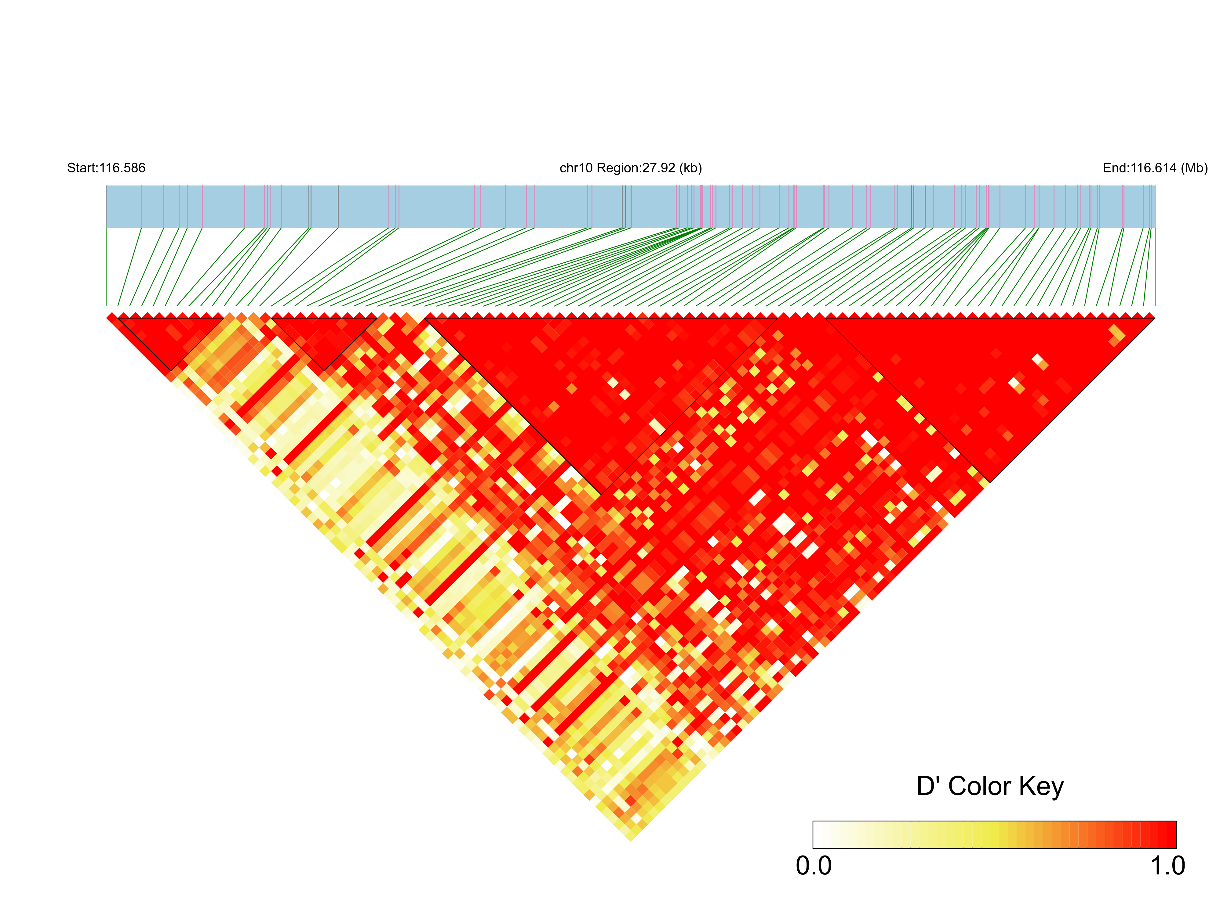 LD