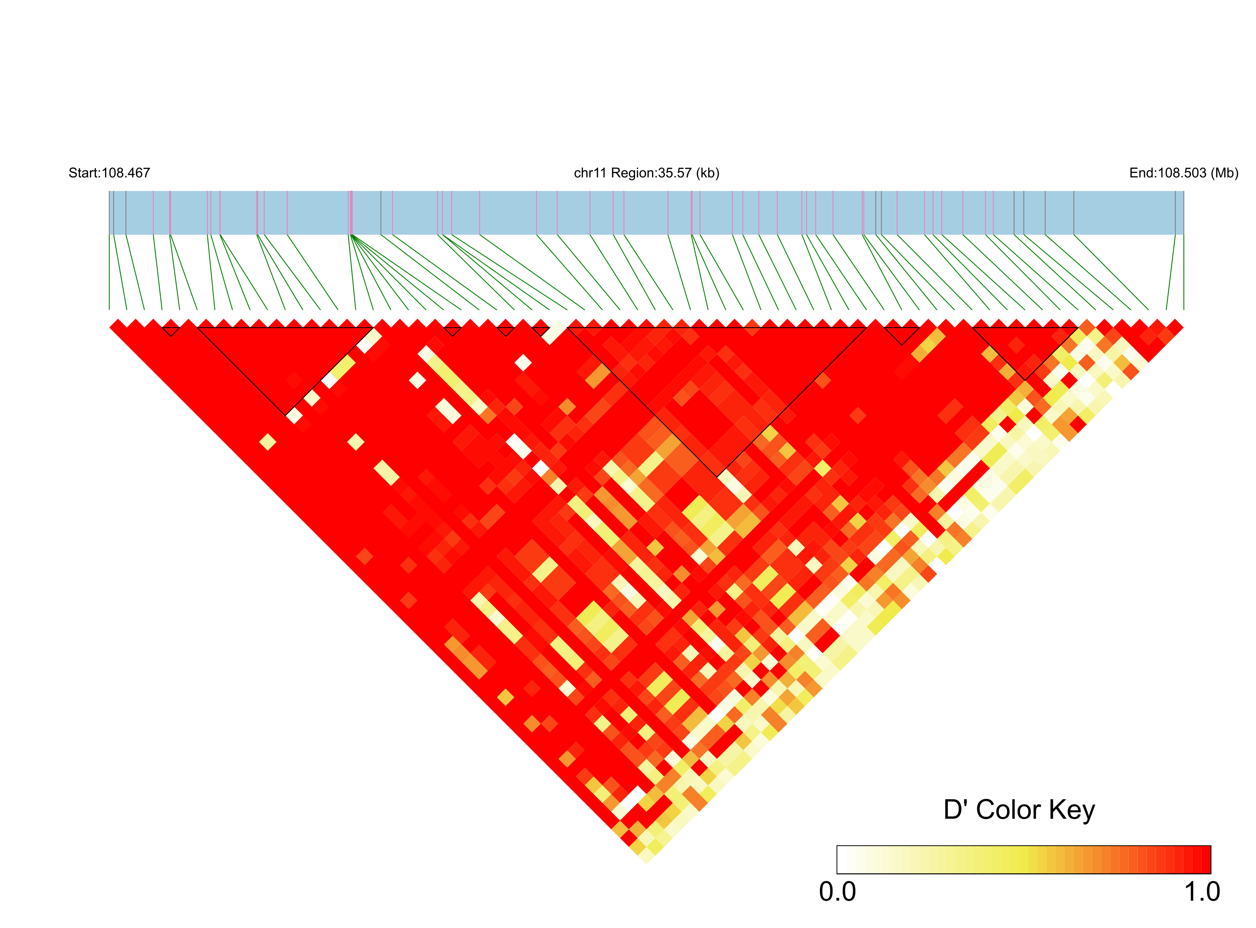 LD