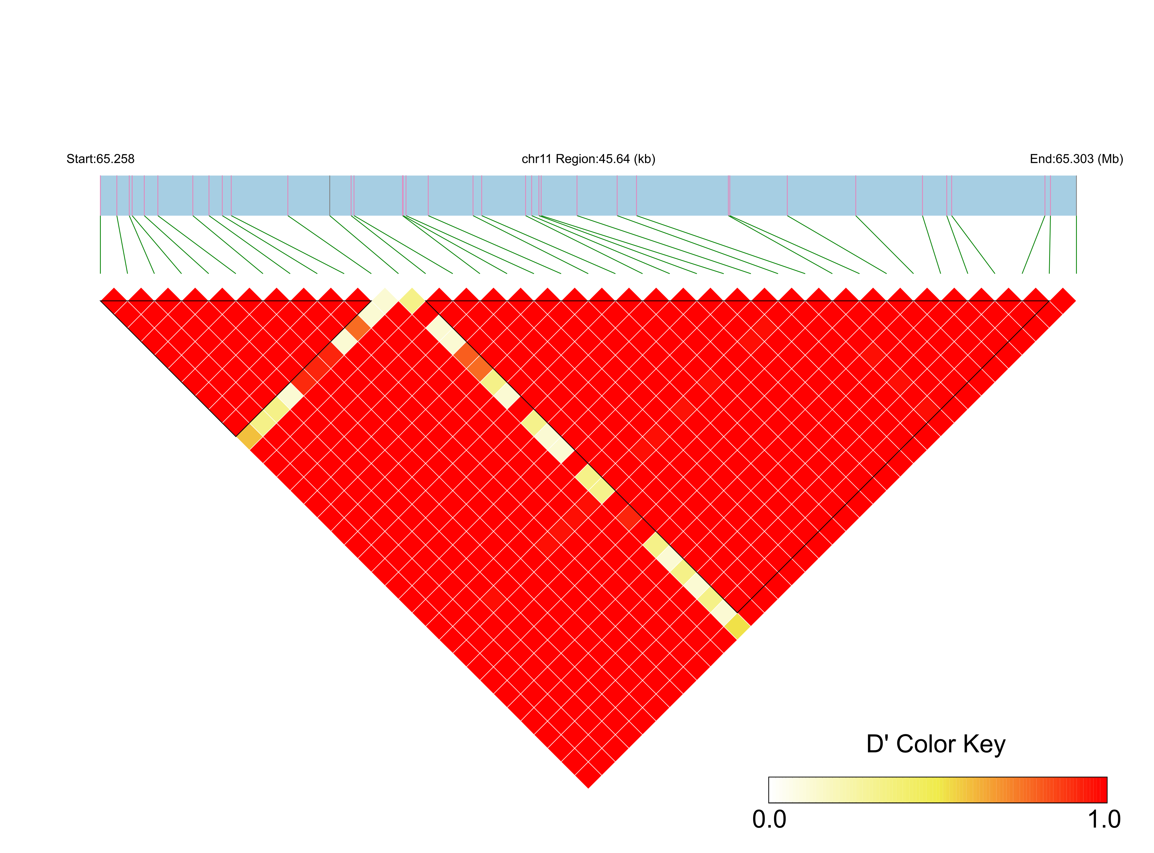 LD