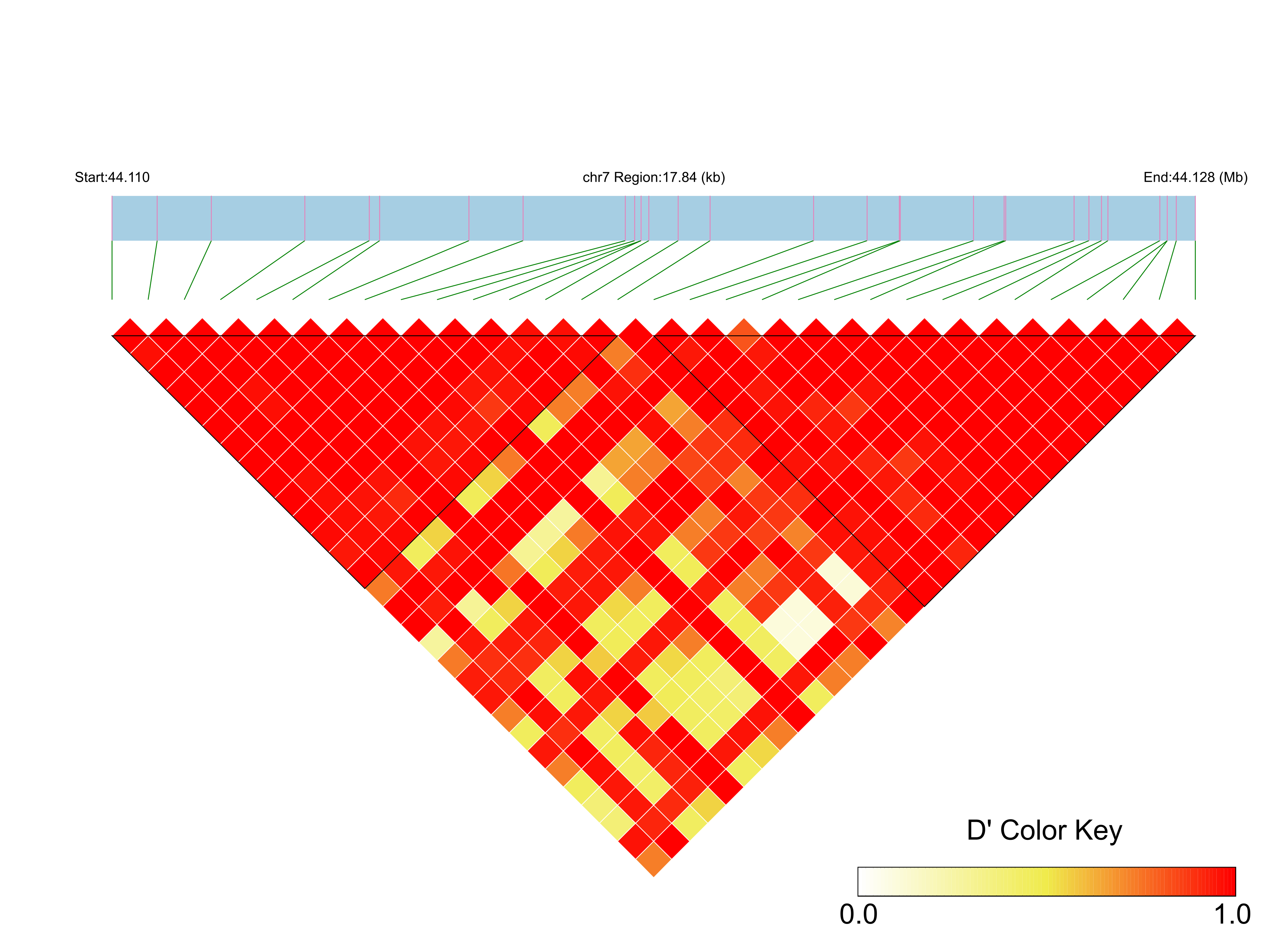 LD