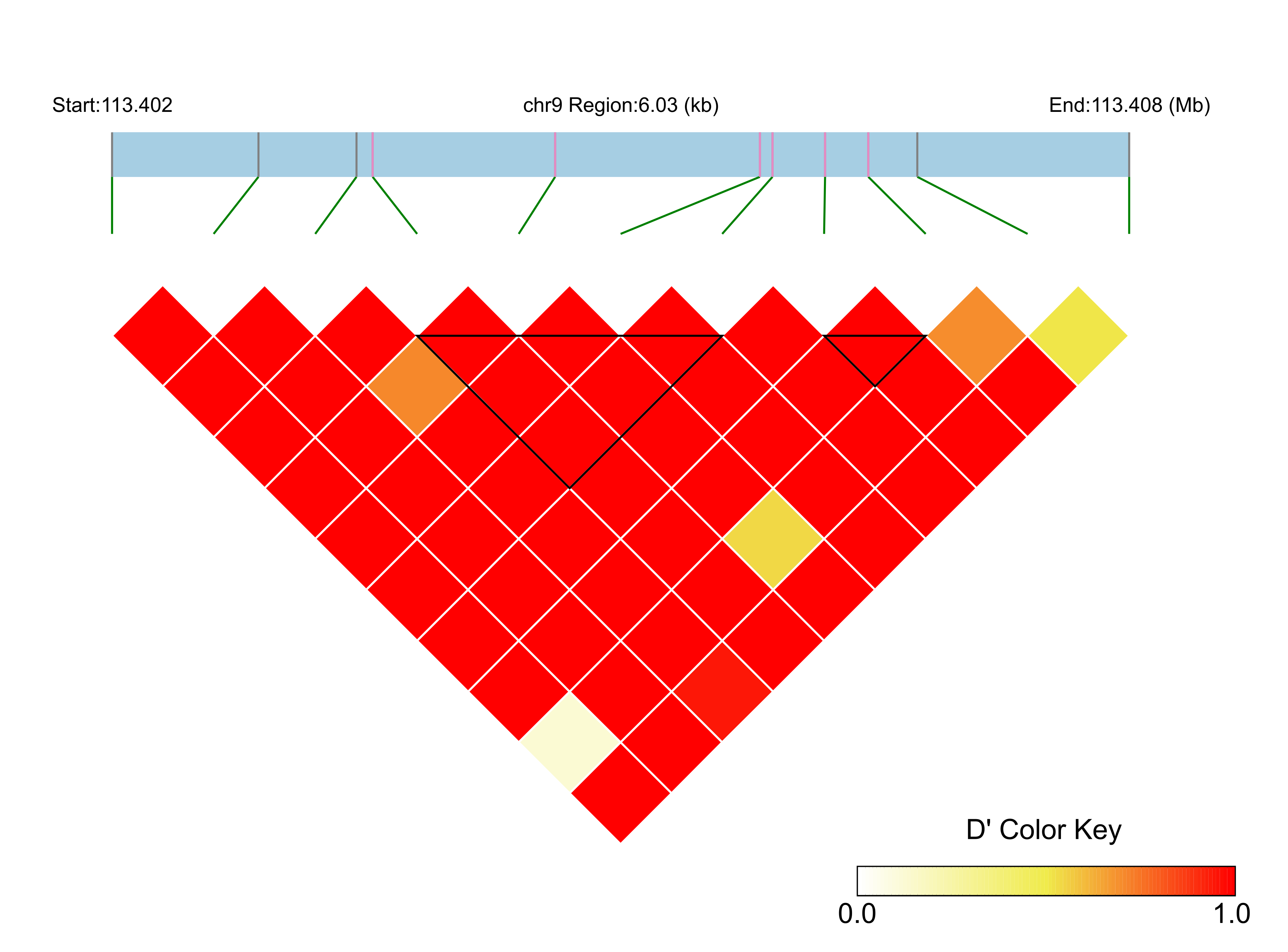 LD