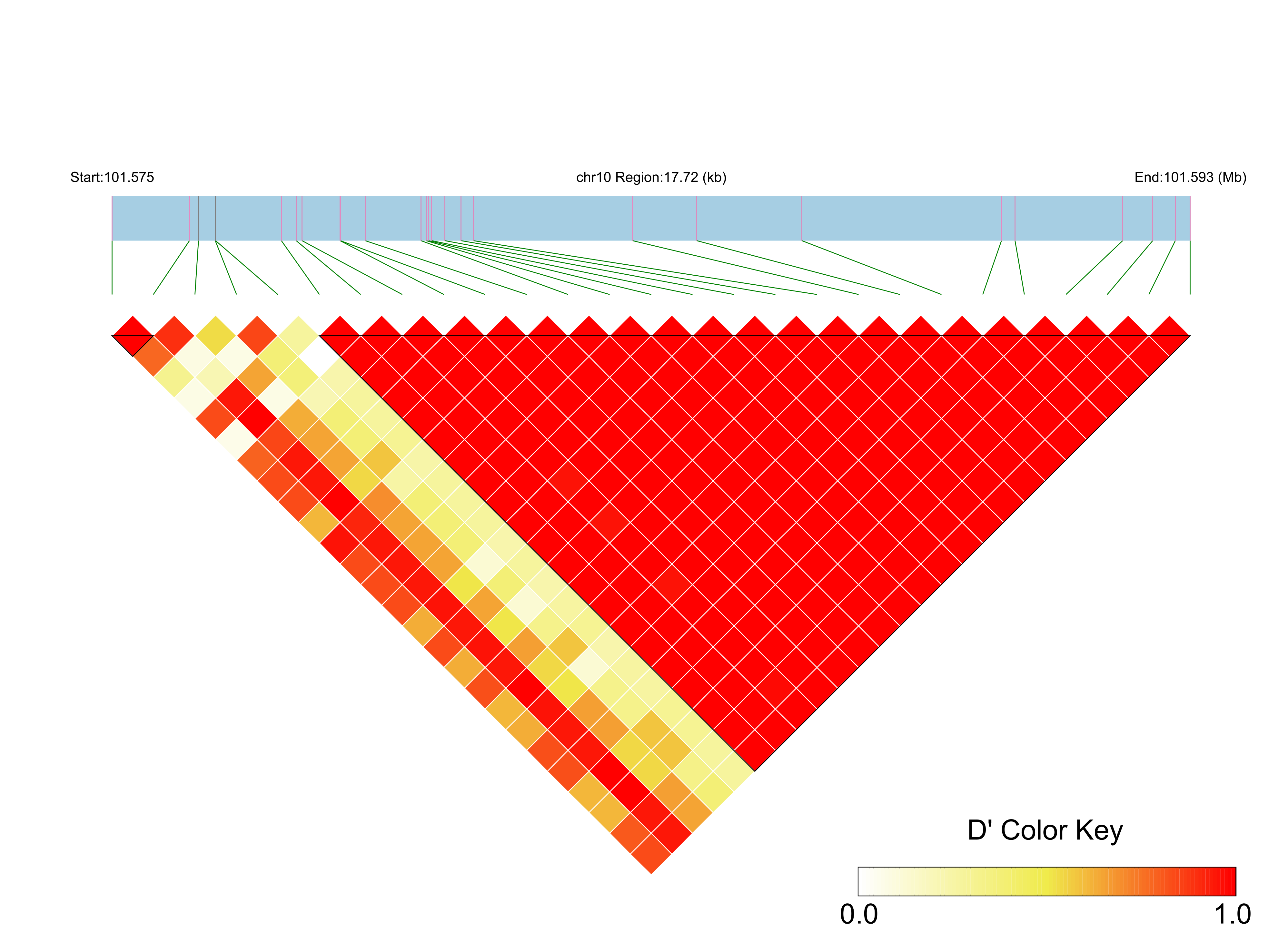 LD