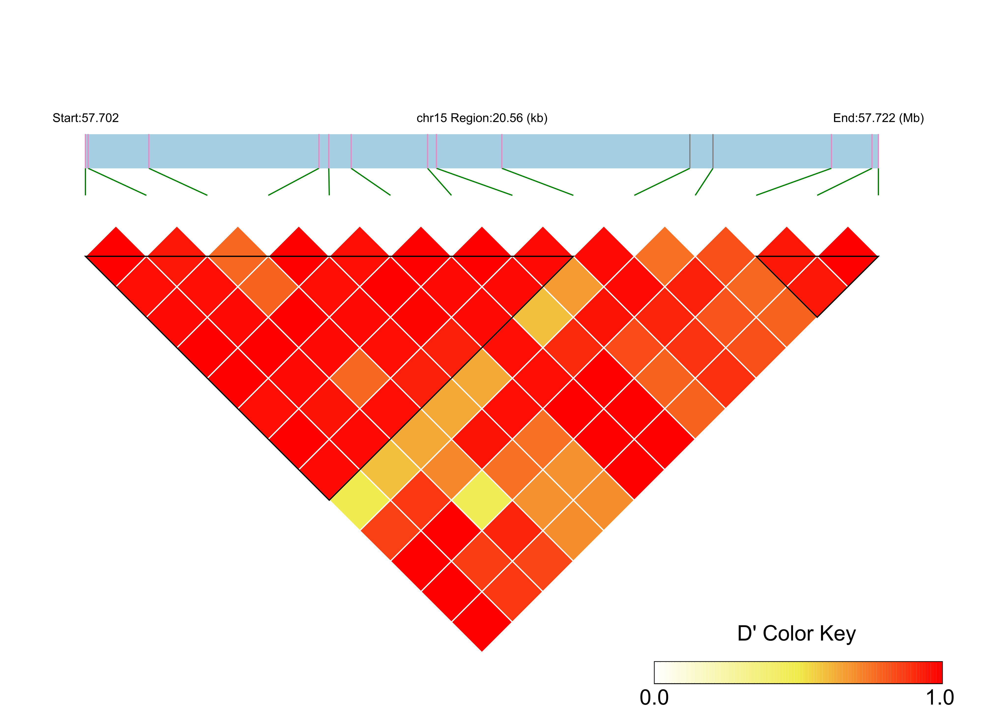LD