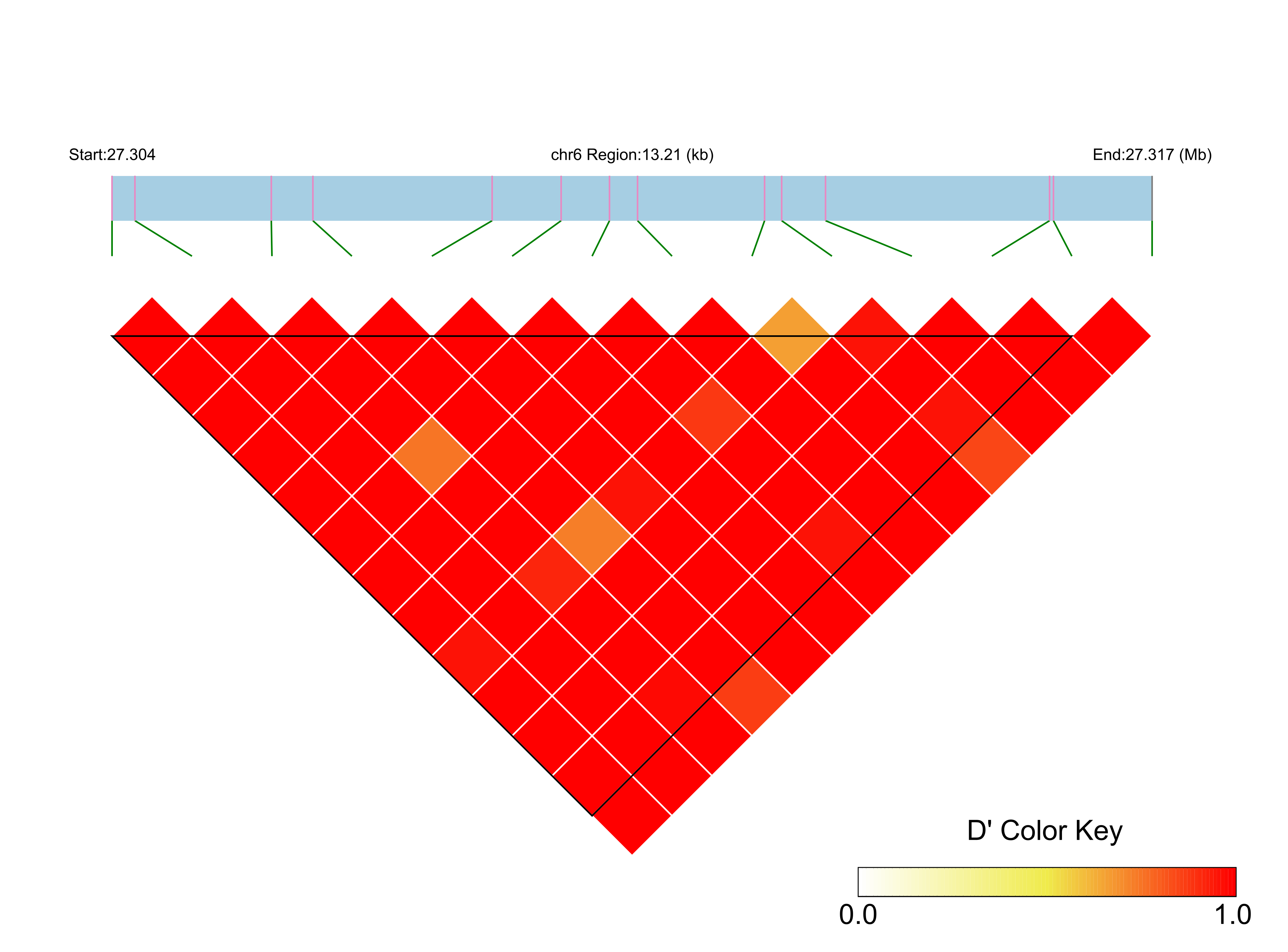LD