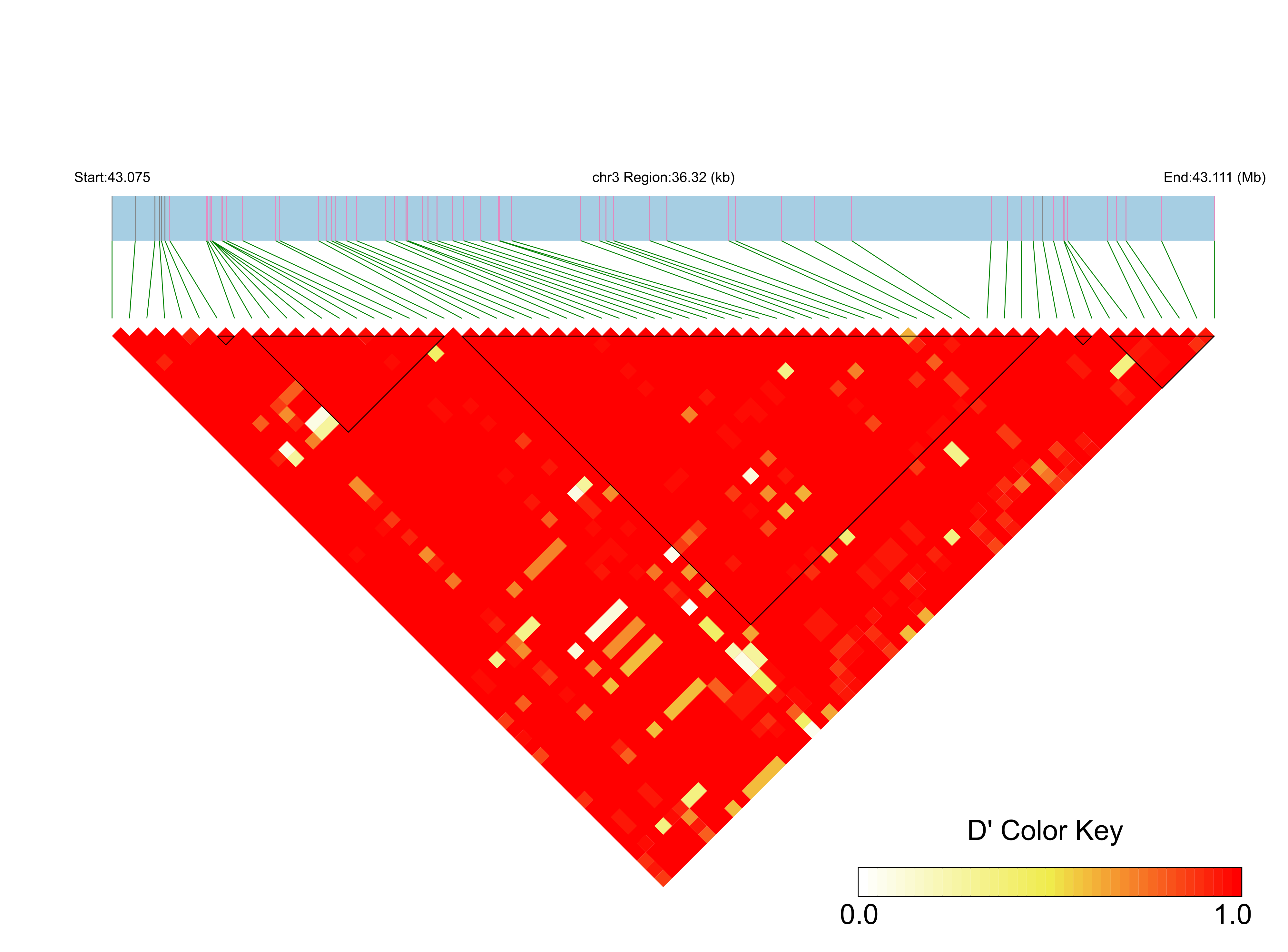 LD