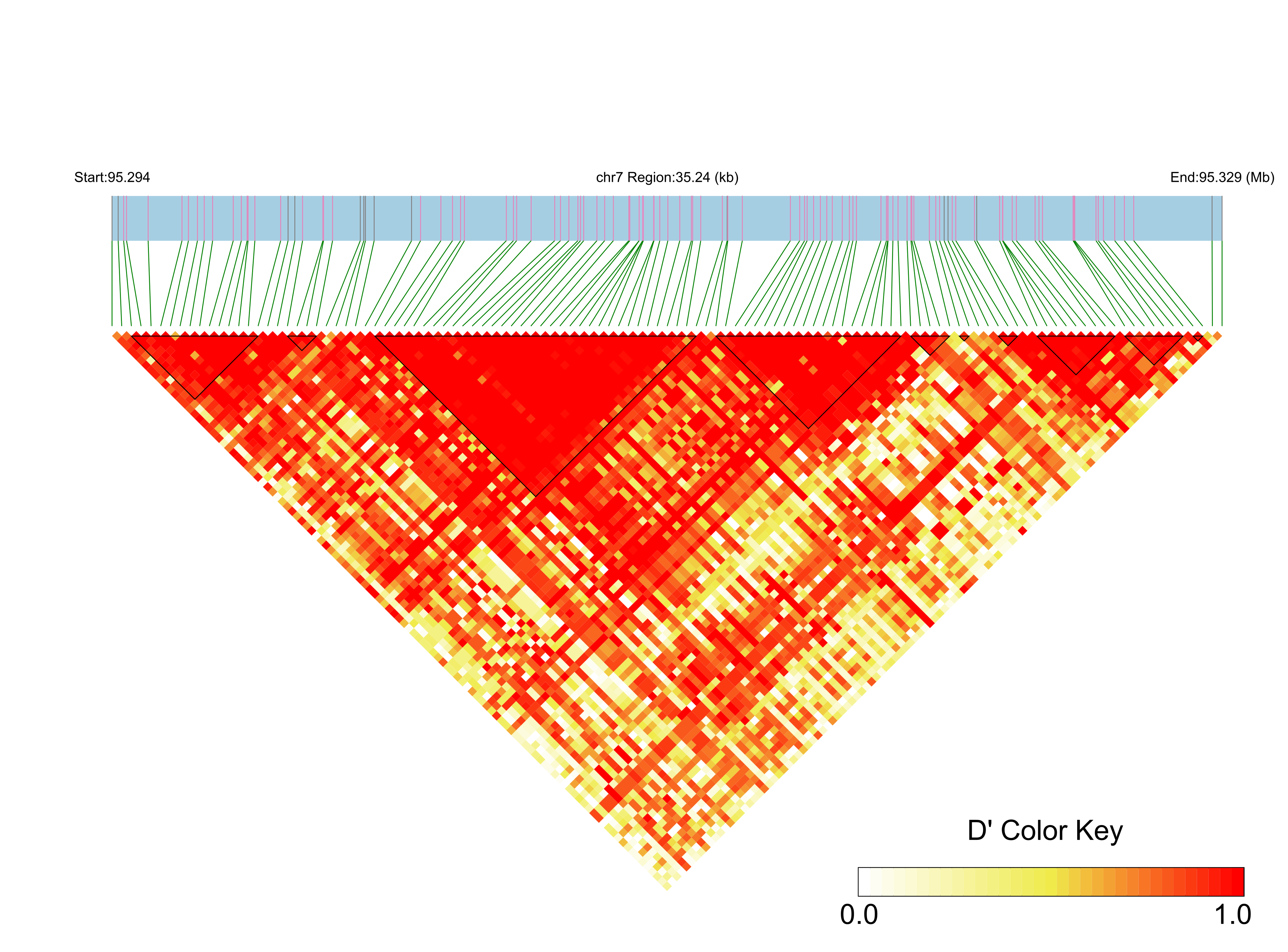 LD