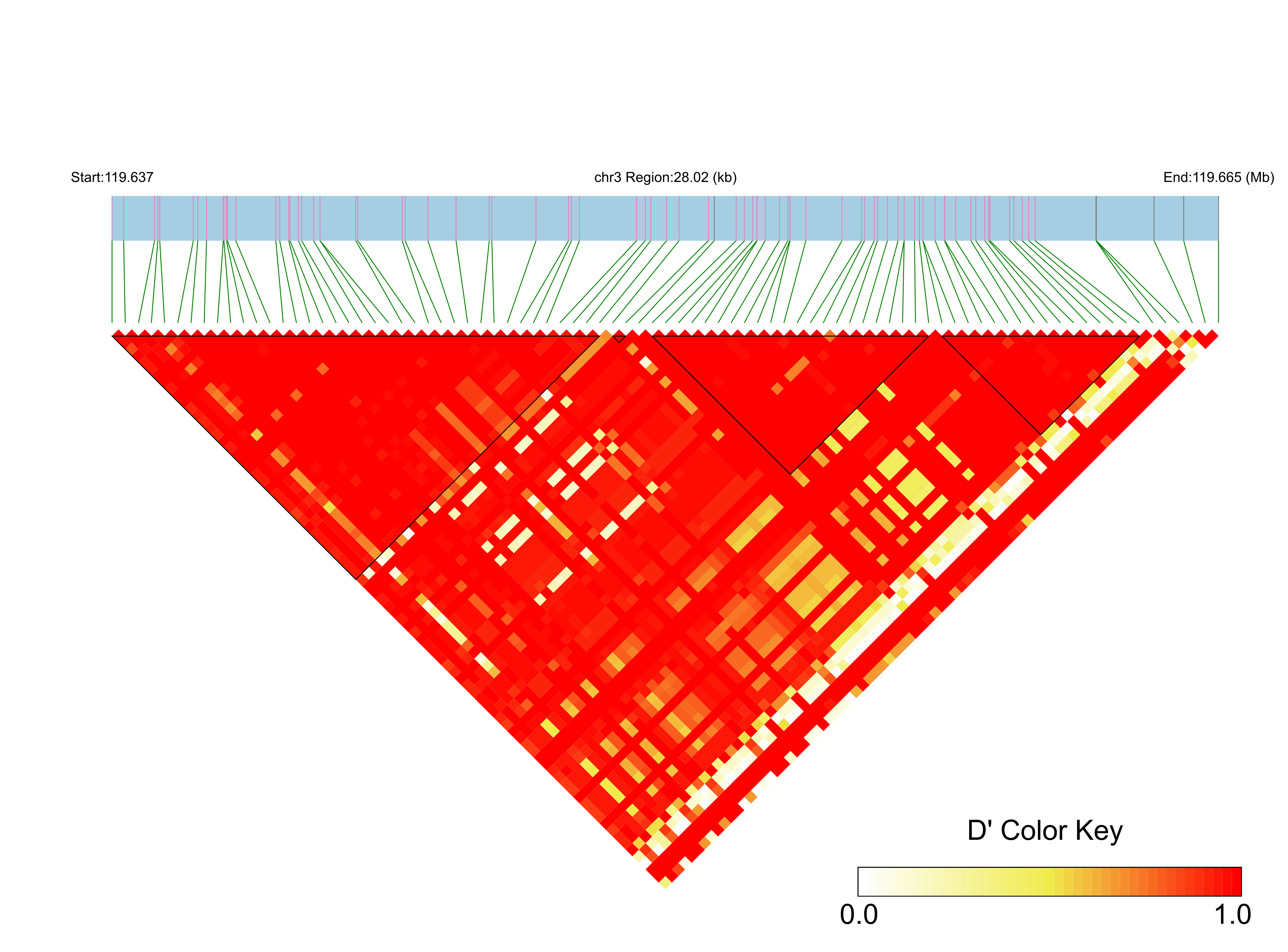 LD