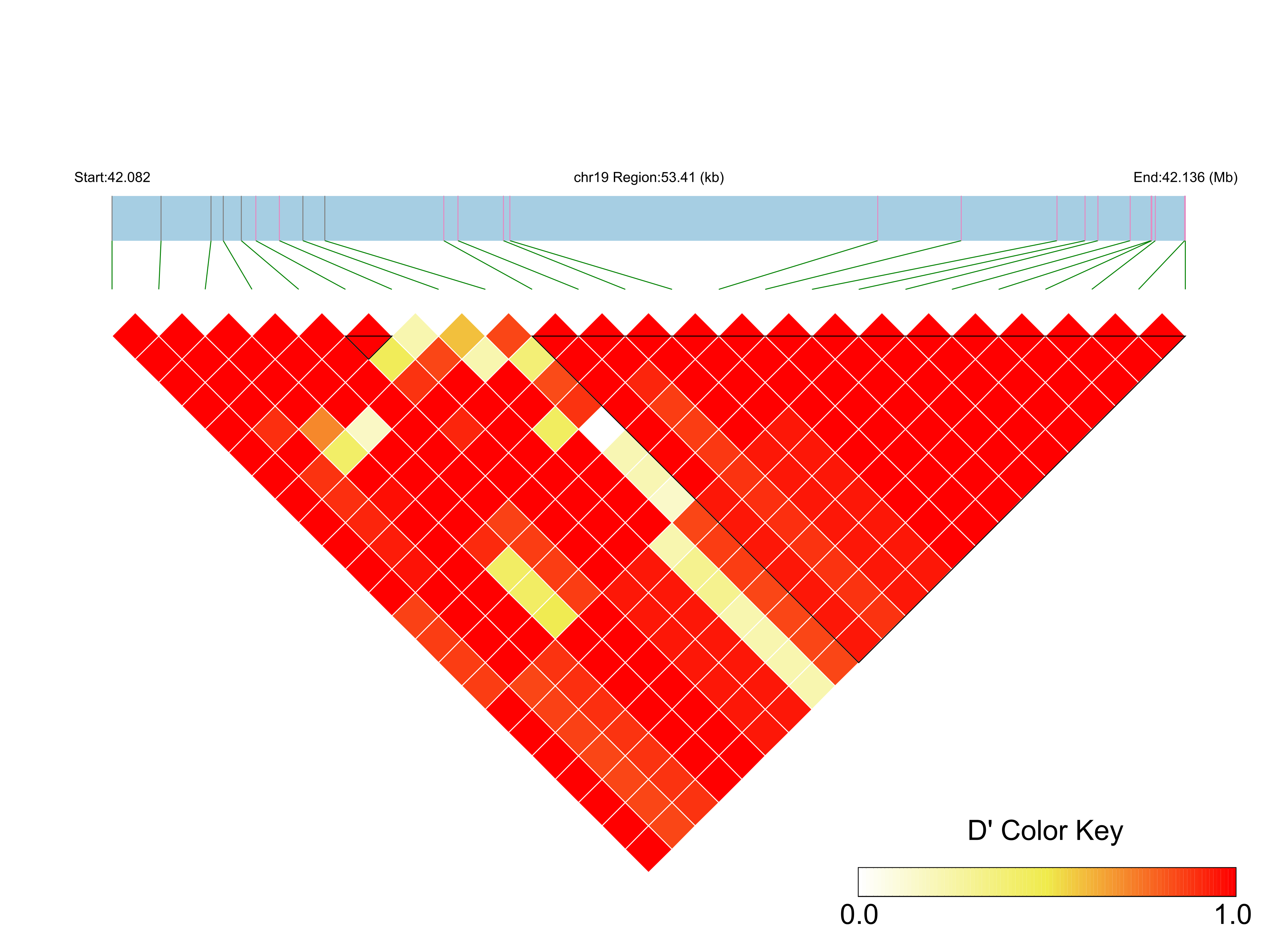 LD