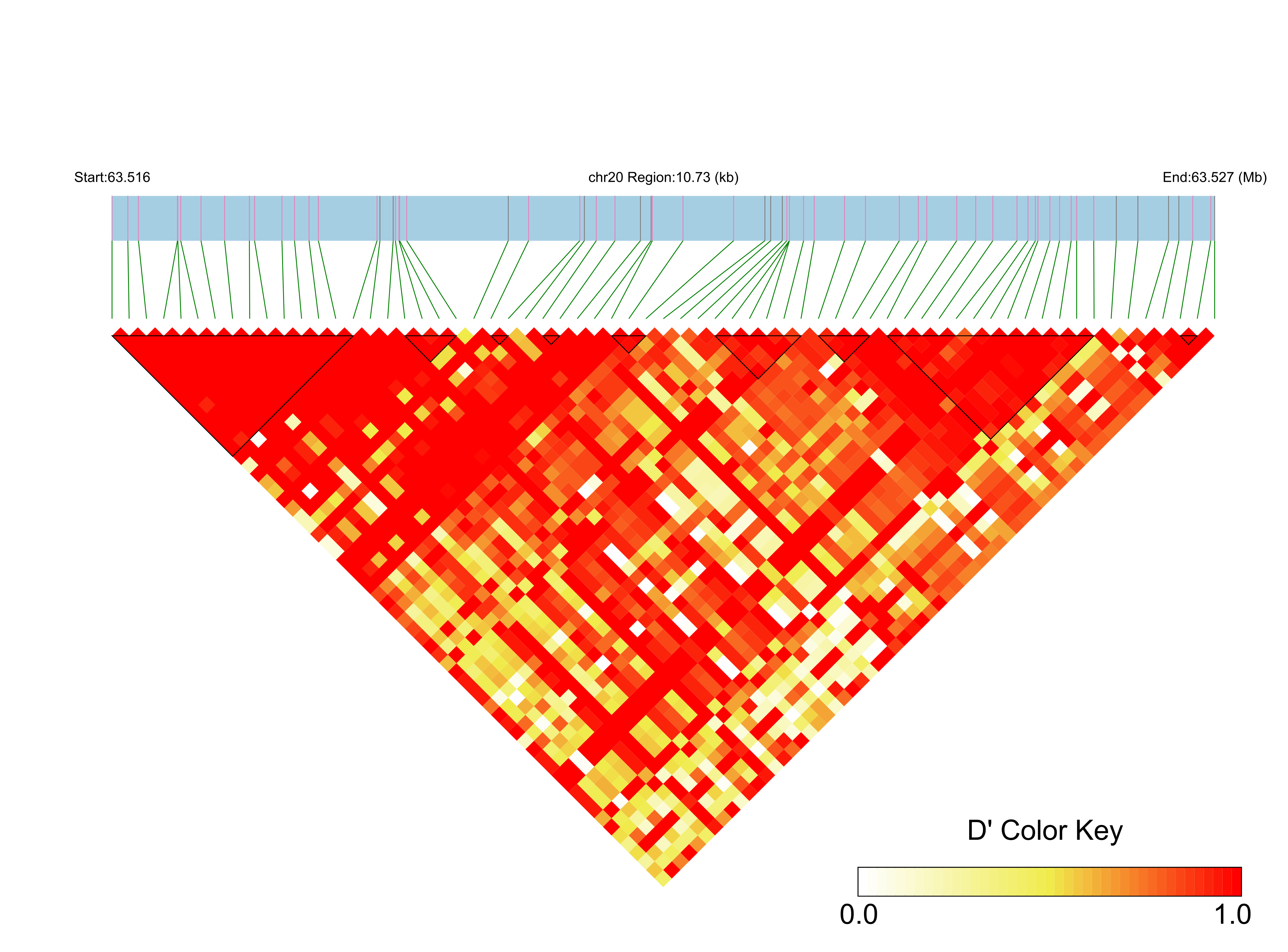 LD
