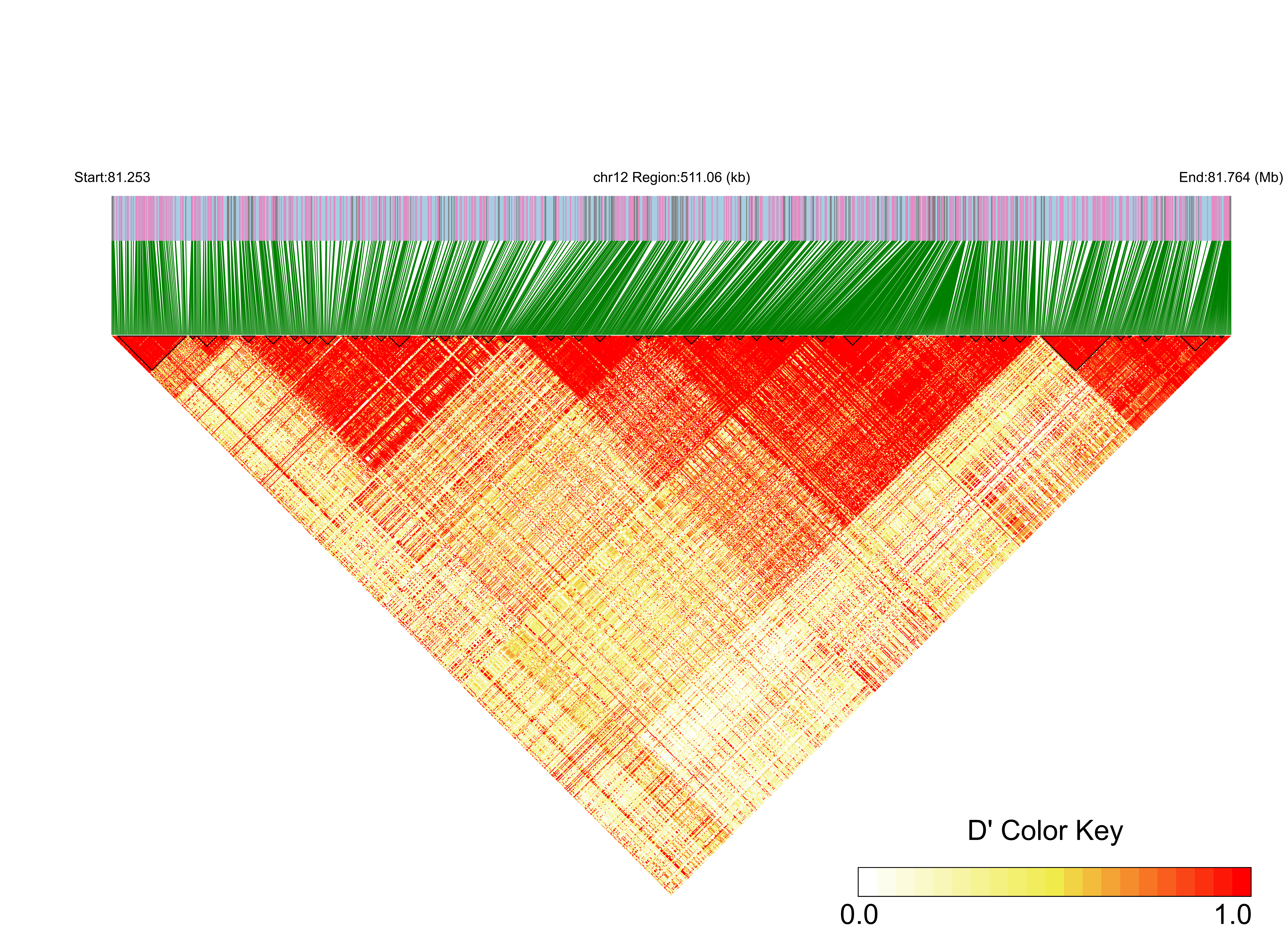 LD