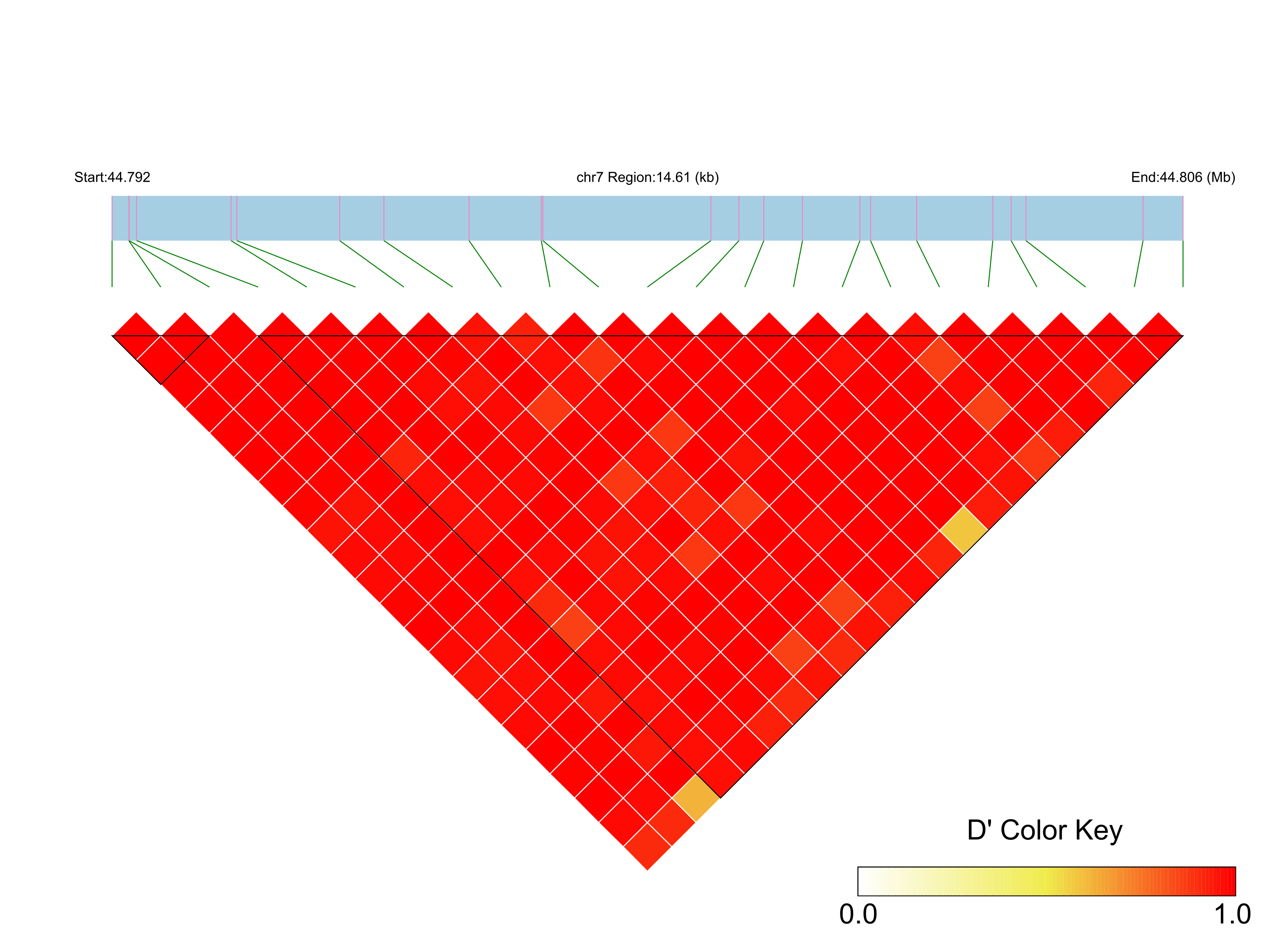 LD