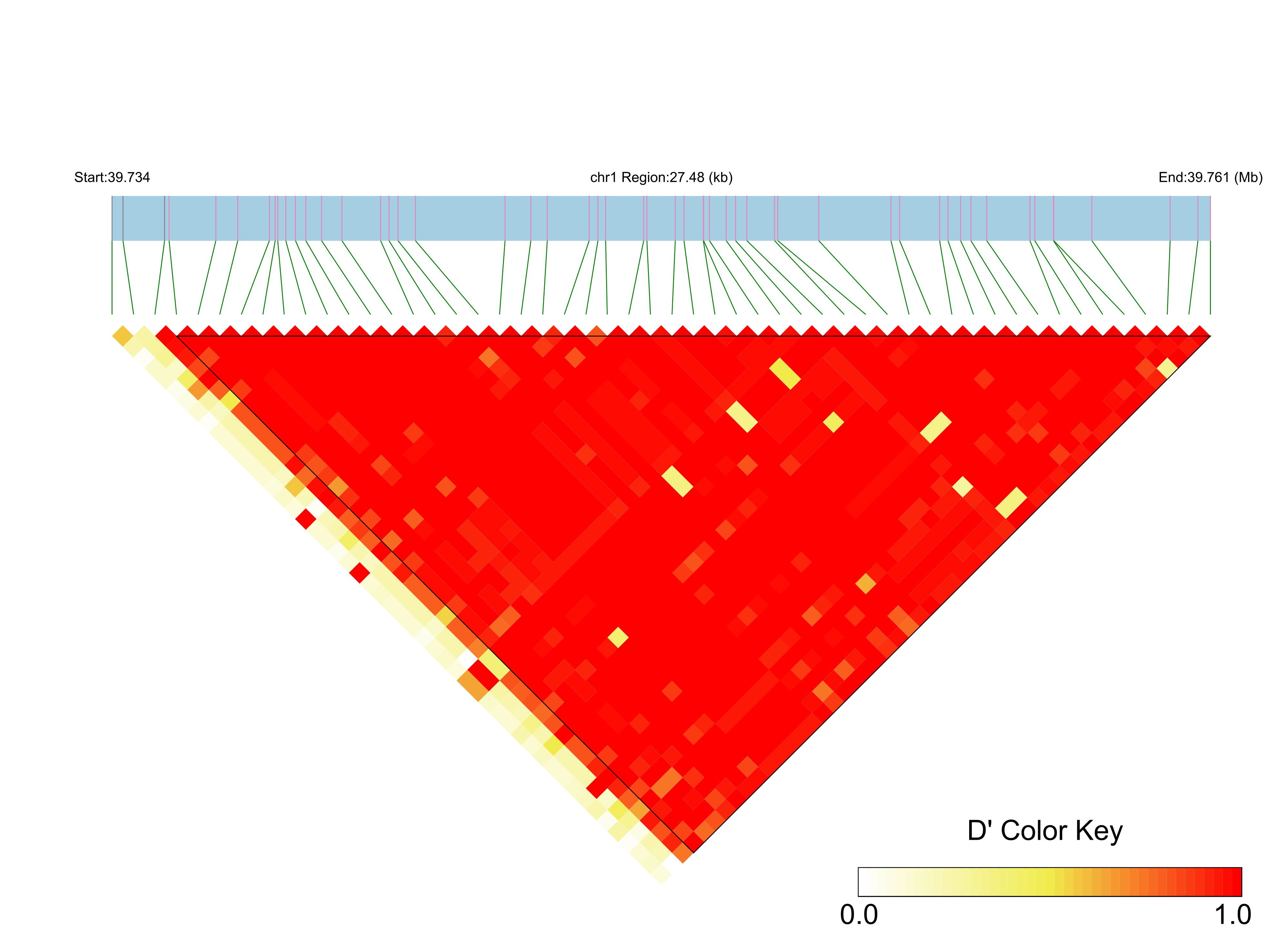 LD