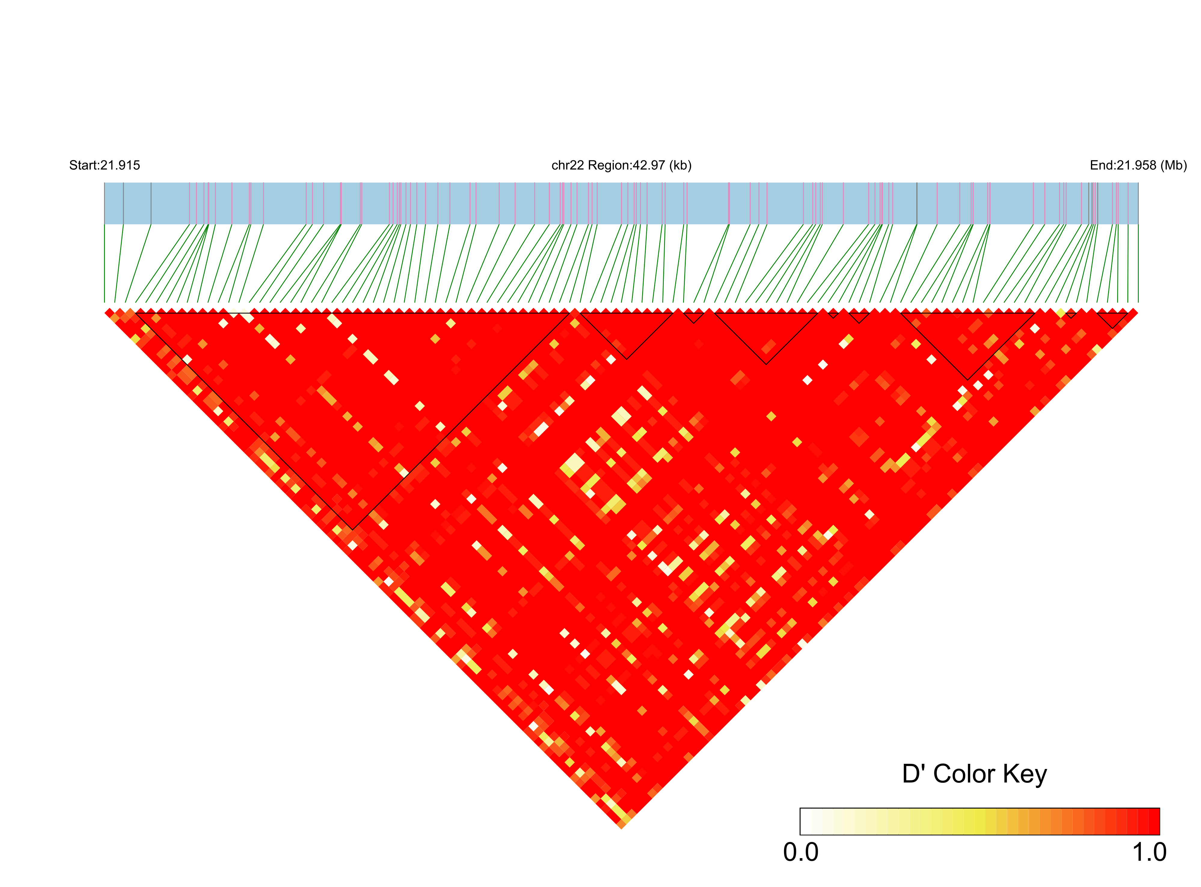 LD
