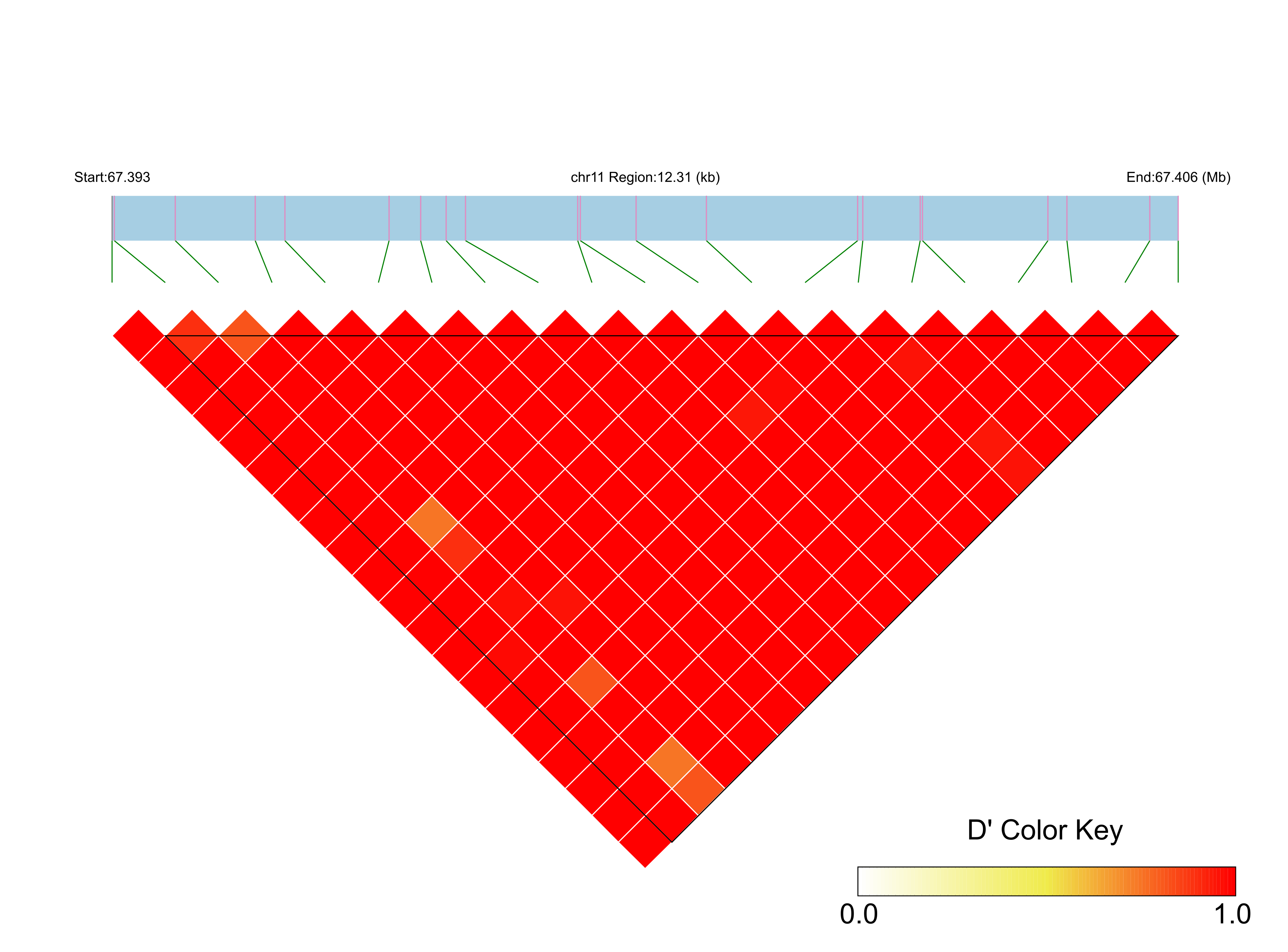 LD