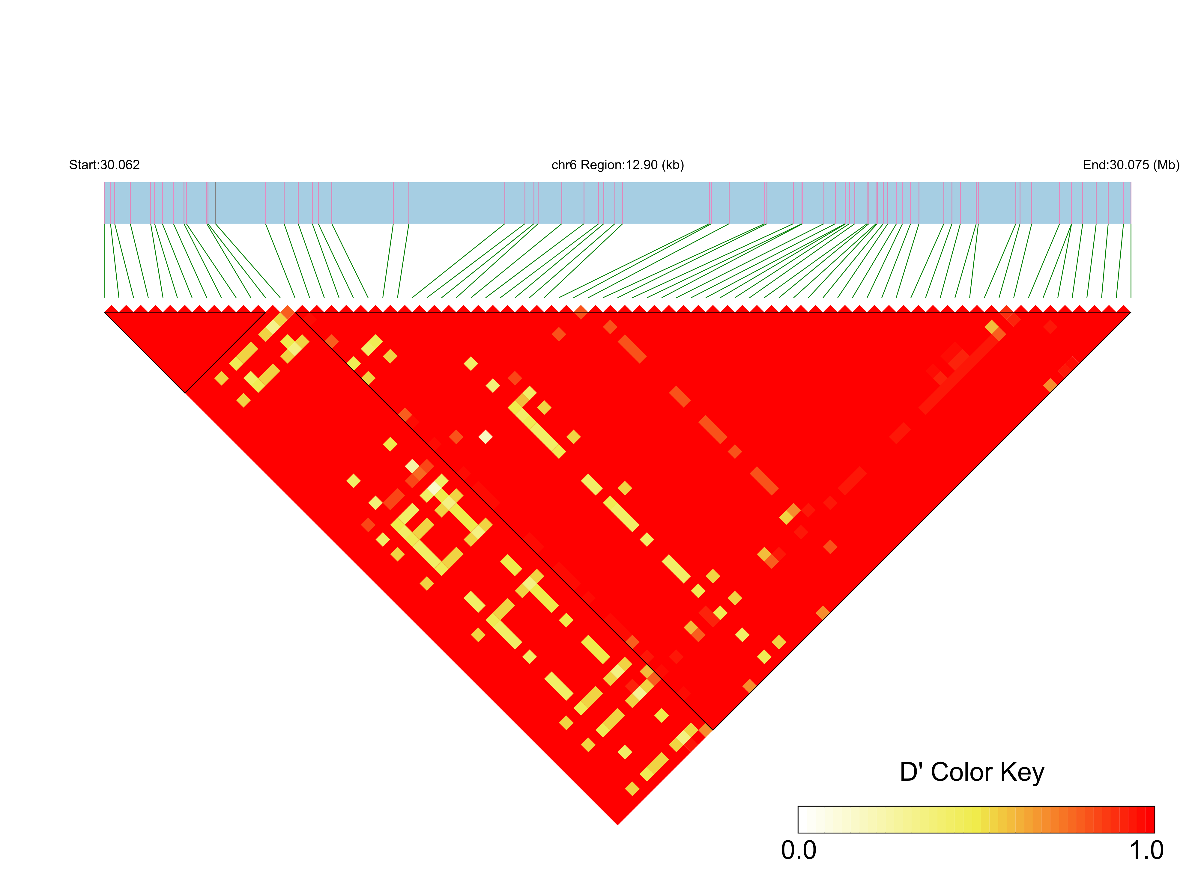 LD